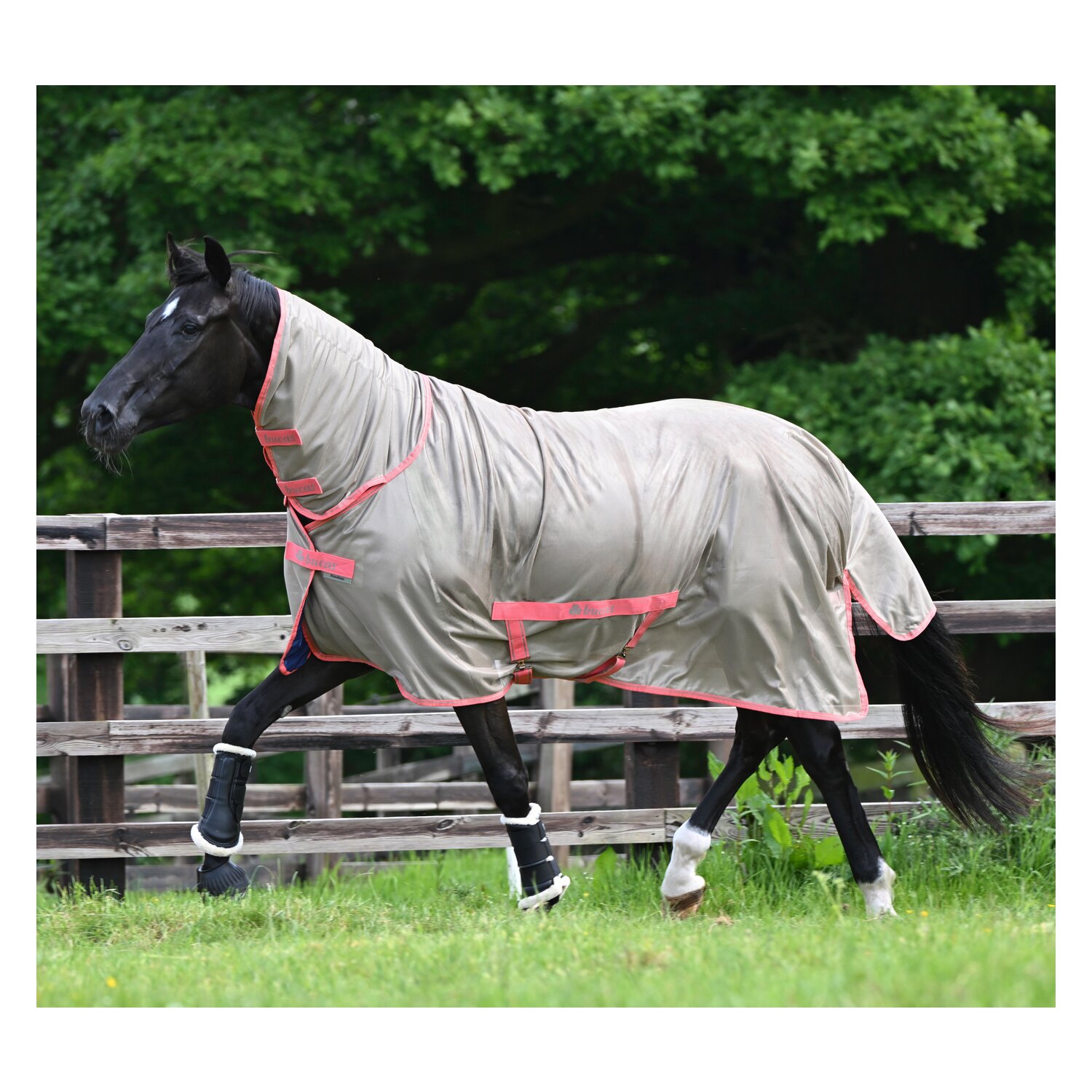 bucas Fliegendecke Freedom Fly Sheet &ndash; Ansicht 1