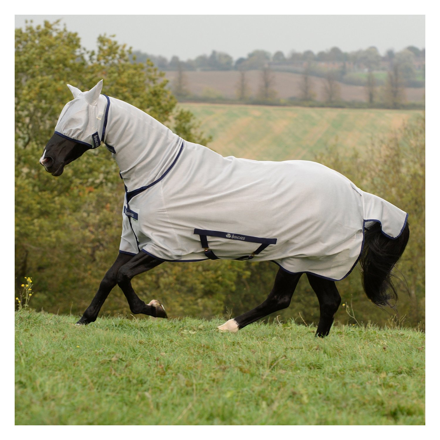 bucas Fliegendecke Freedom Fly Sheet – Ansicht 1