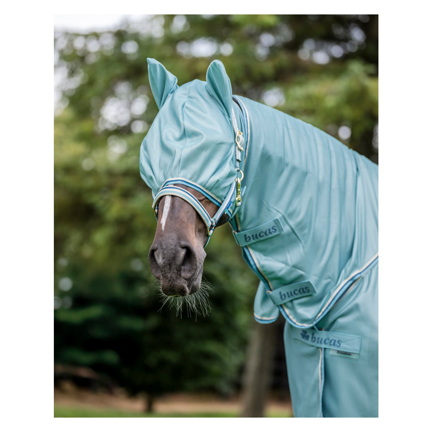 bucas Fliegenmaske Freedom Fly Mask &ndash; Ansicht 2