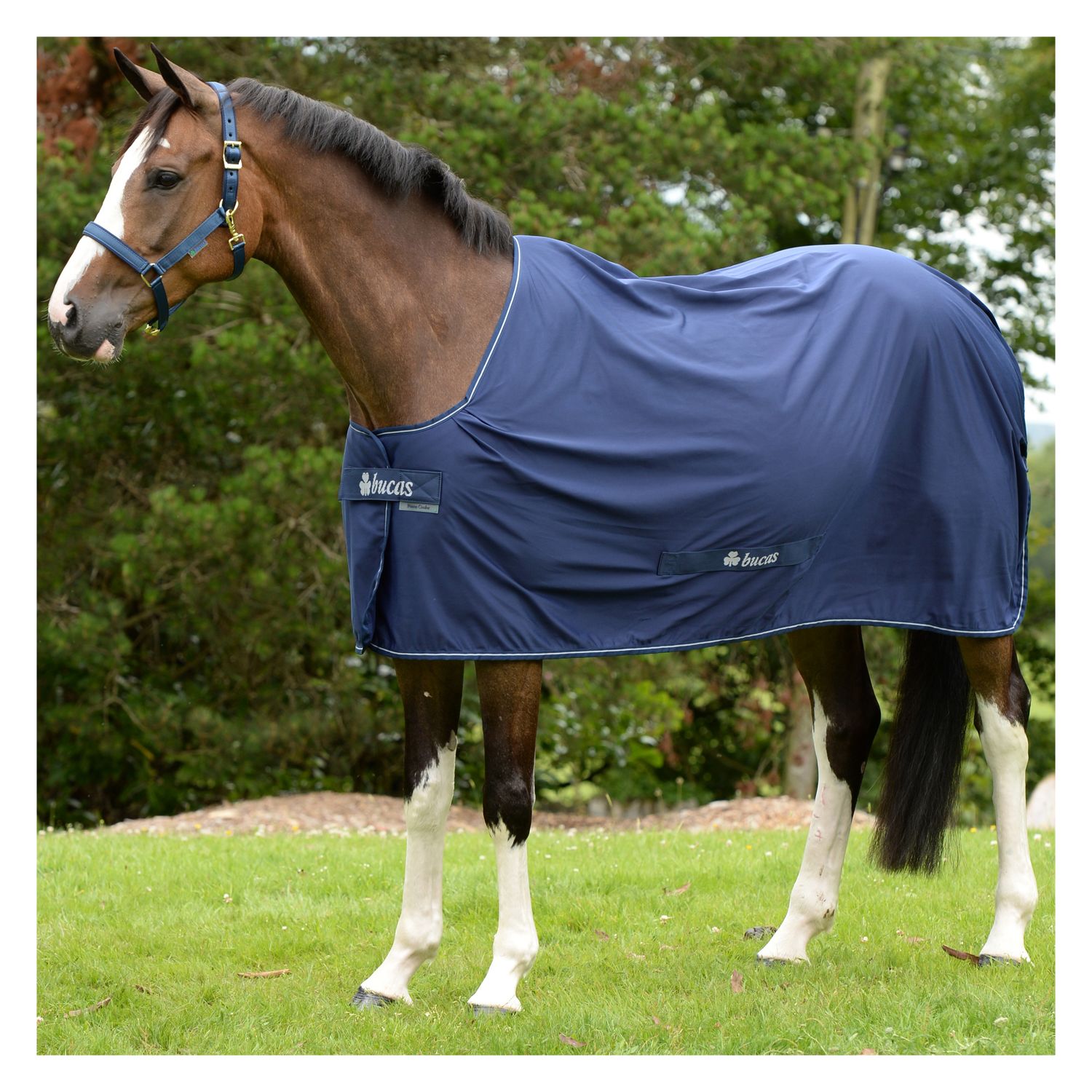 bucas Abschwitzdecke Power Cooler – Ansicht 1