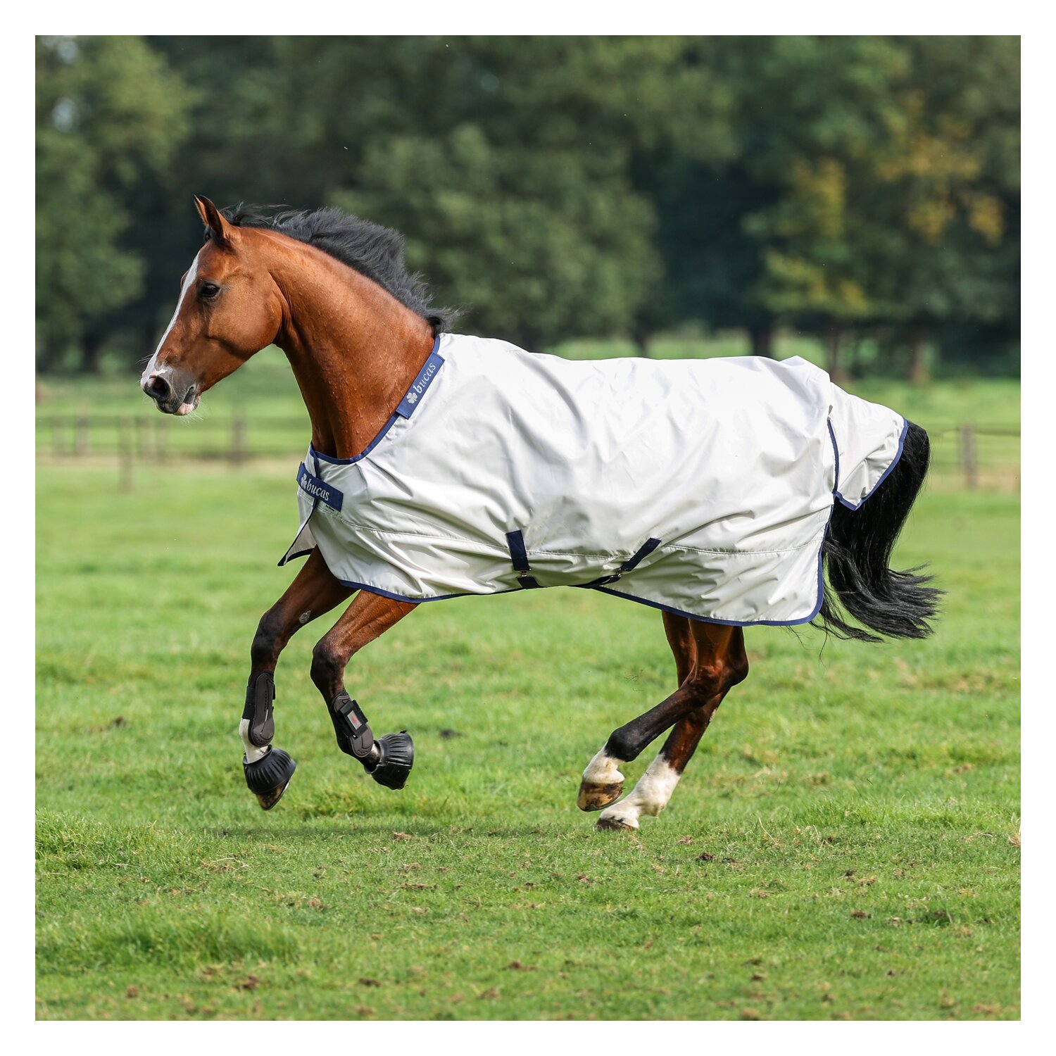 bucas Outdoordecke Sun Shower – Ansicht 1