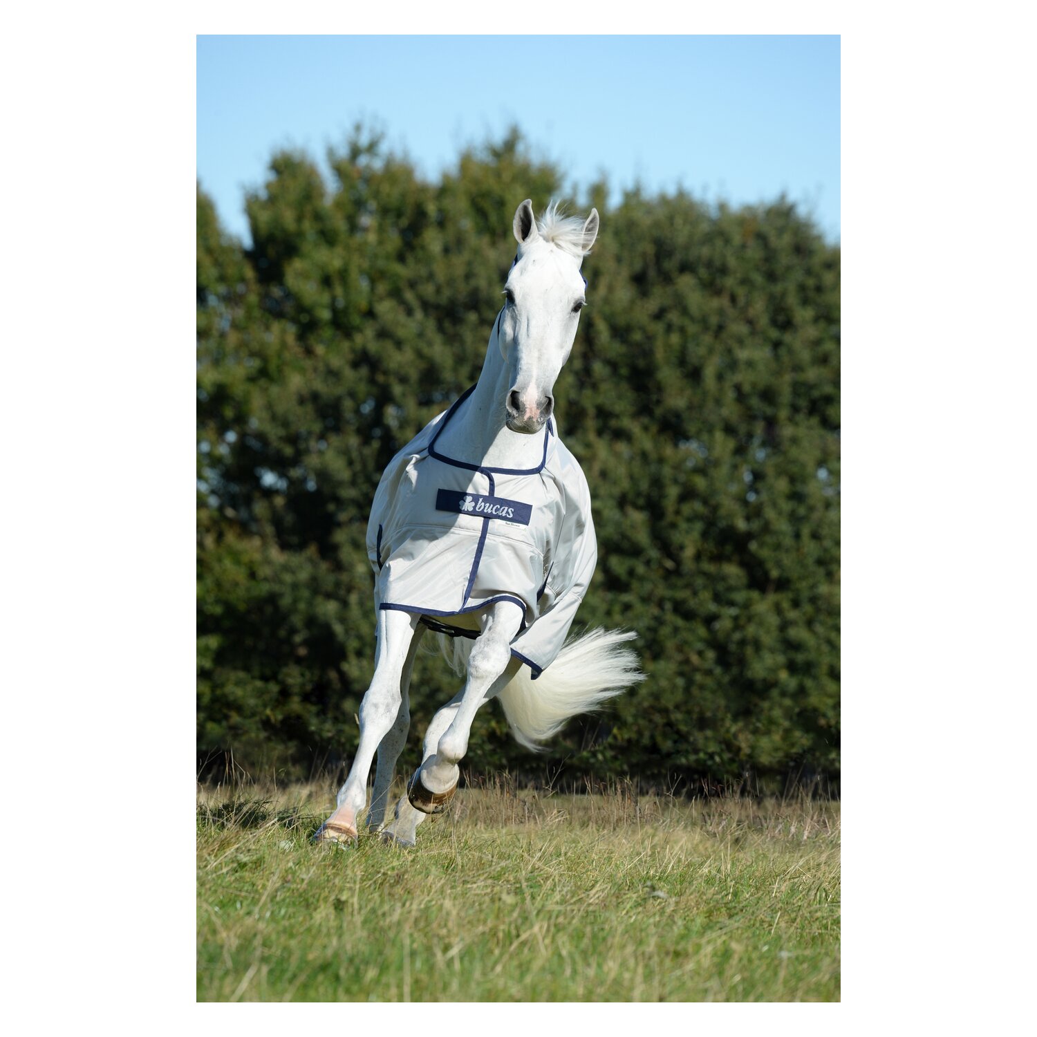 bucas Outdoordecke Sun Shower – Ansicht 3