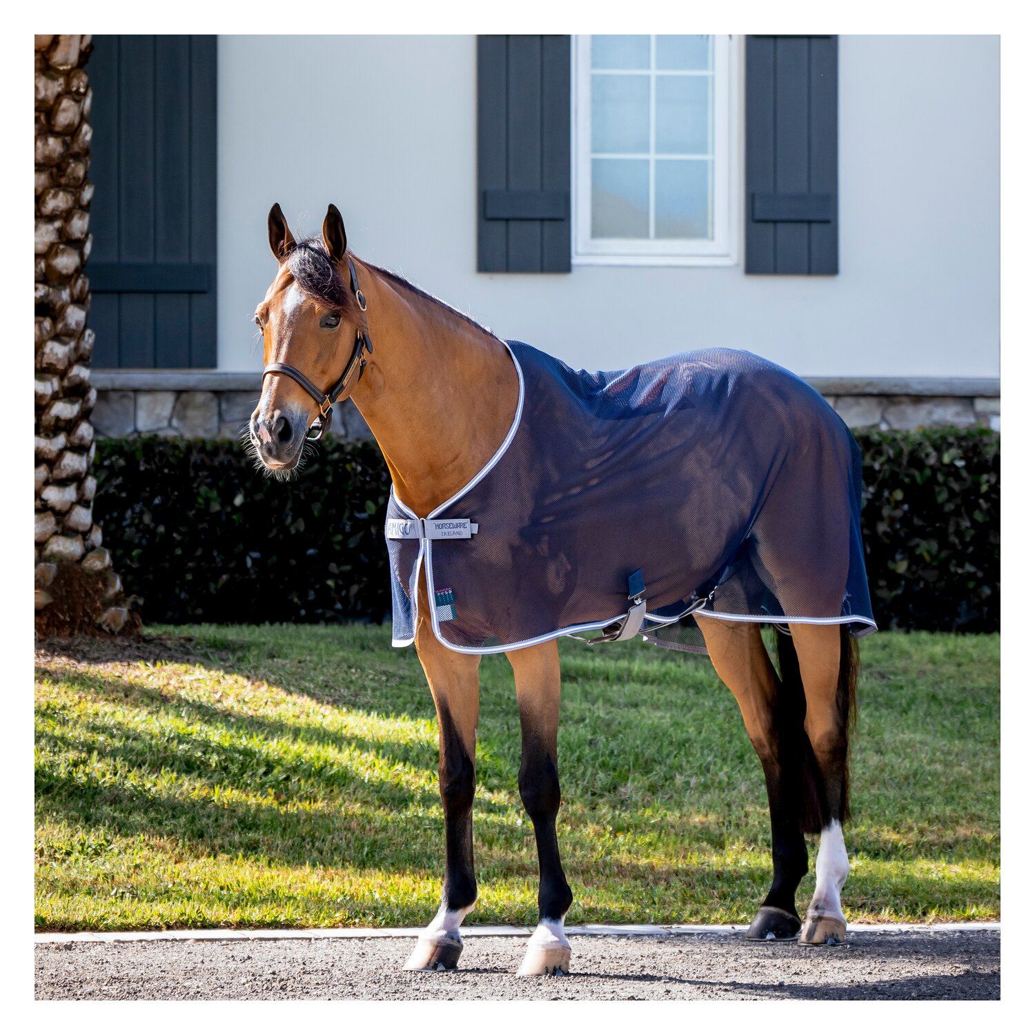 Horseware Fliegendecke AMIGO Net Cooler – Ansicht 2