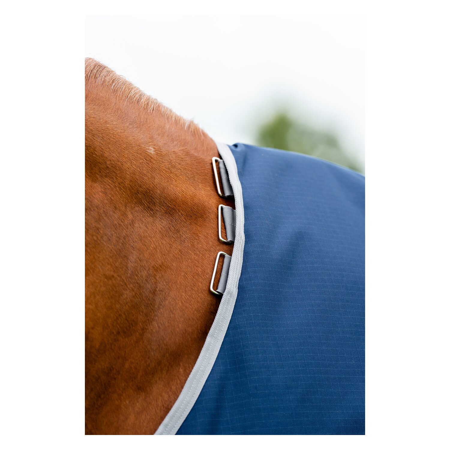 HORSEWARE Weidedecke AMIGO Ripstop 900 Denier, ohne Füllung – Ansicht 3