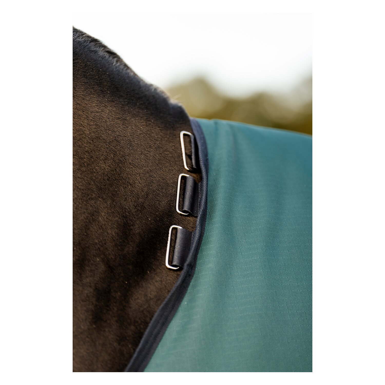 HORSEWARE Weidedecke AMIGO Ripstop 900 Denier, ohne Füllung – Ansicht 8