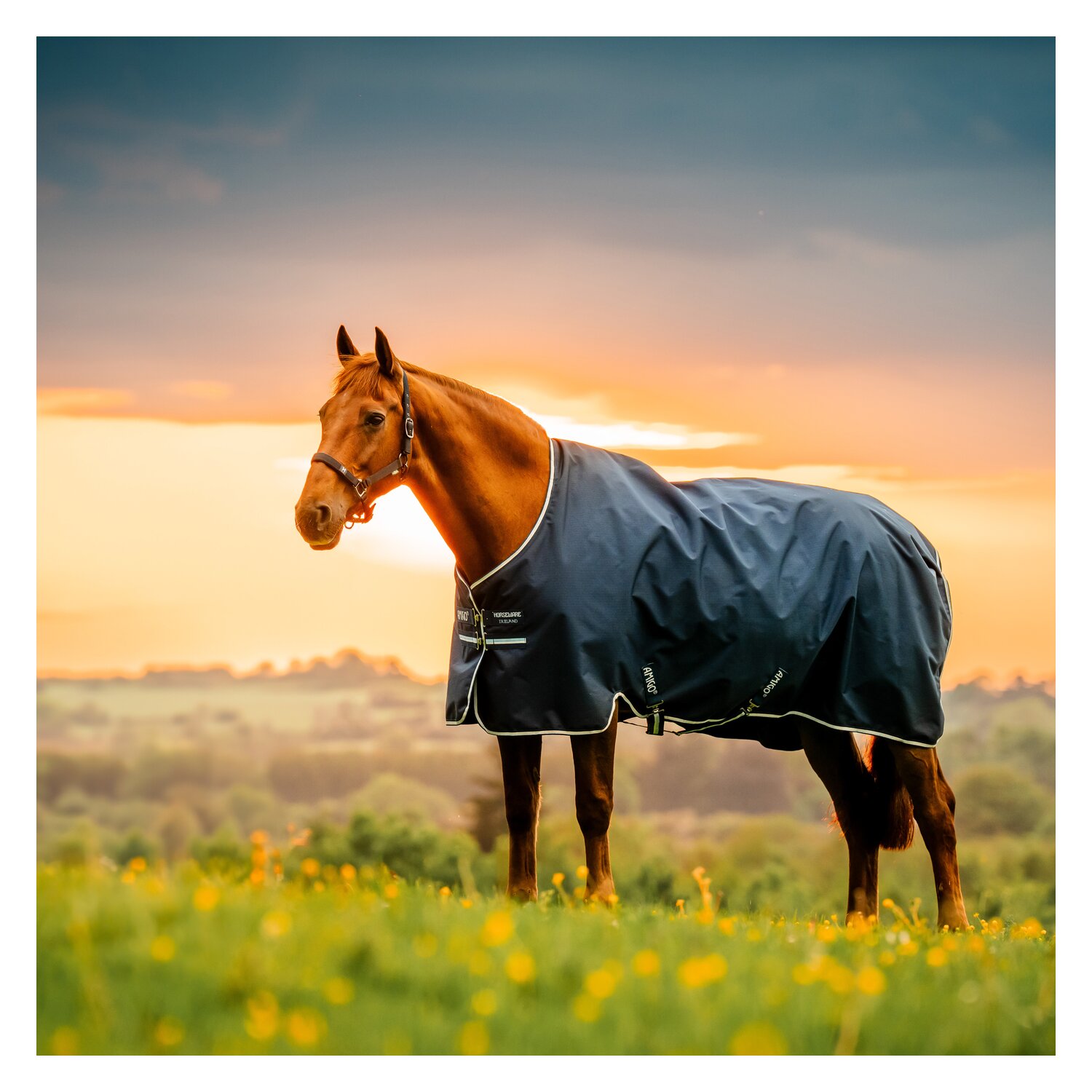 HORSEWARE Weidedecke AMIGO Ripstop 900 Denier, ohne Füllung – Ansicht 3