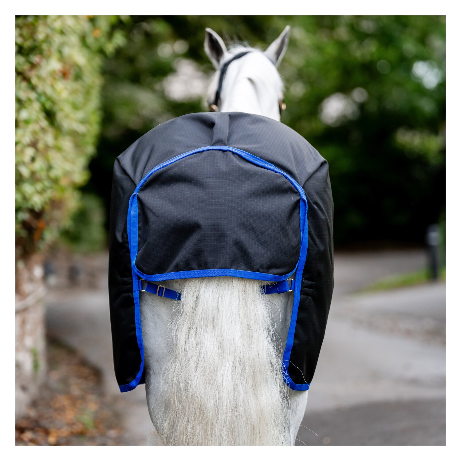 HORSEWARE Weidedecke AMIGO Ripstop 900 Denier, 50g – Ansicht 11