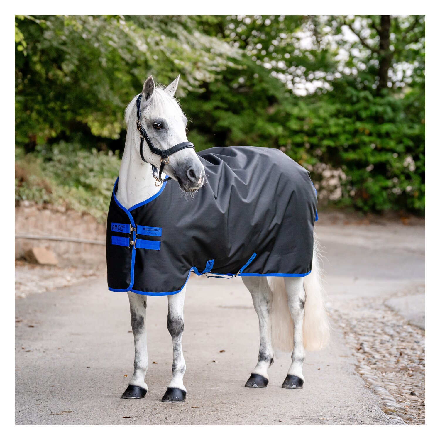 HORSEWARE Weidedecke AMIGO Ripstop 900 Denier, 50g – Ansicht 2