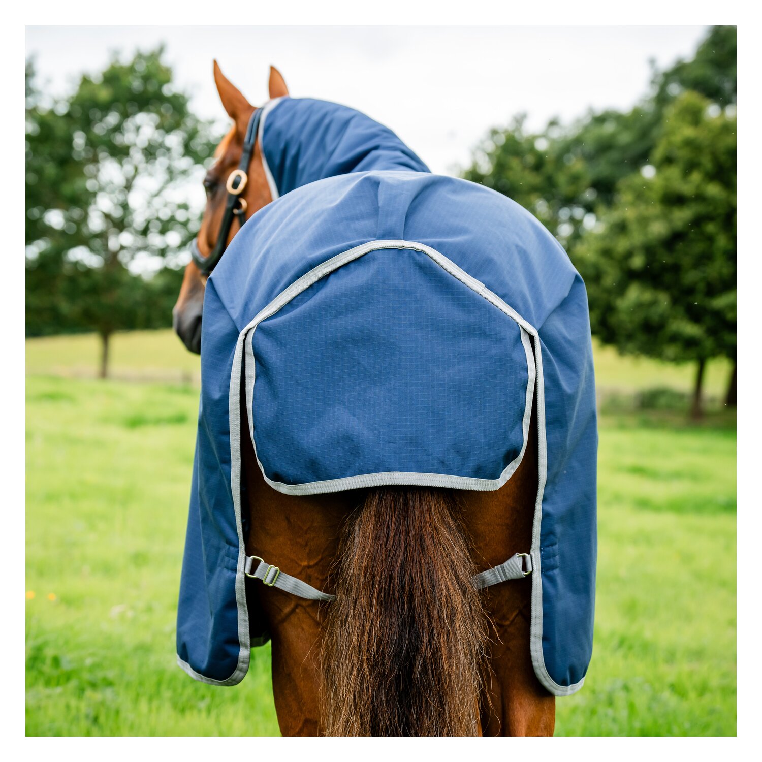 HORSEWARE Weidedecke AMIGO Ripstop 900 Denier, 50g – Ansicht 7