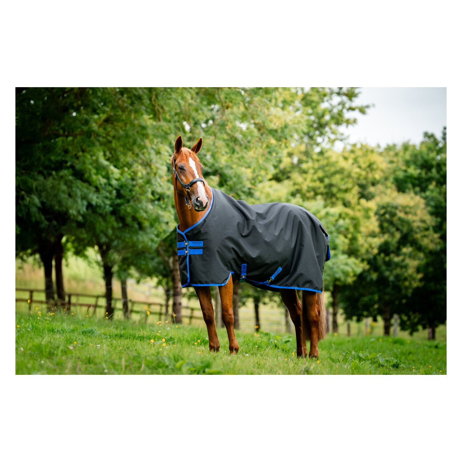 HORSEWARE Weidedecke AMIGO Ripstop 900 Fleece Lining, 50 g – Ansicht 2