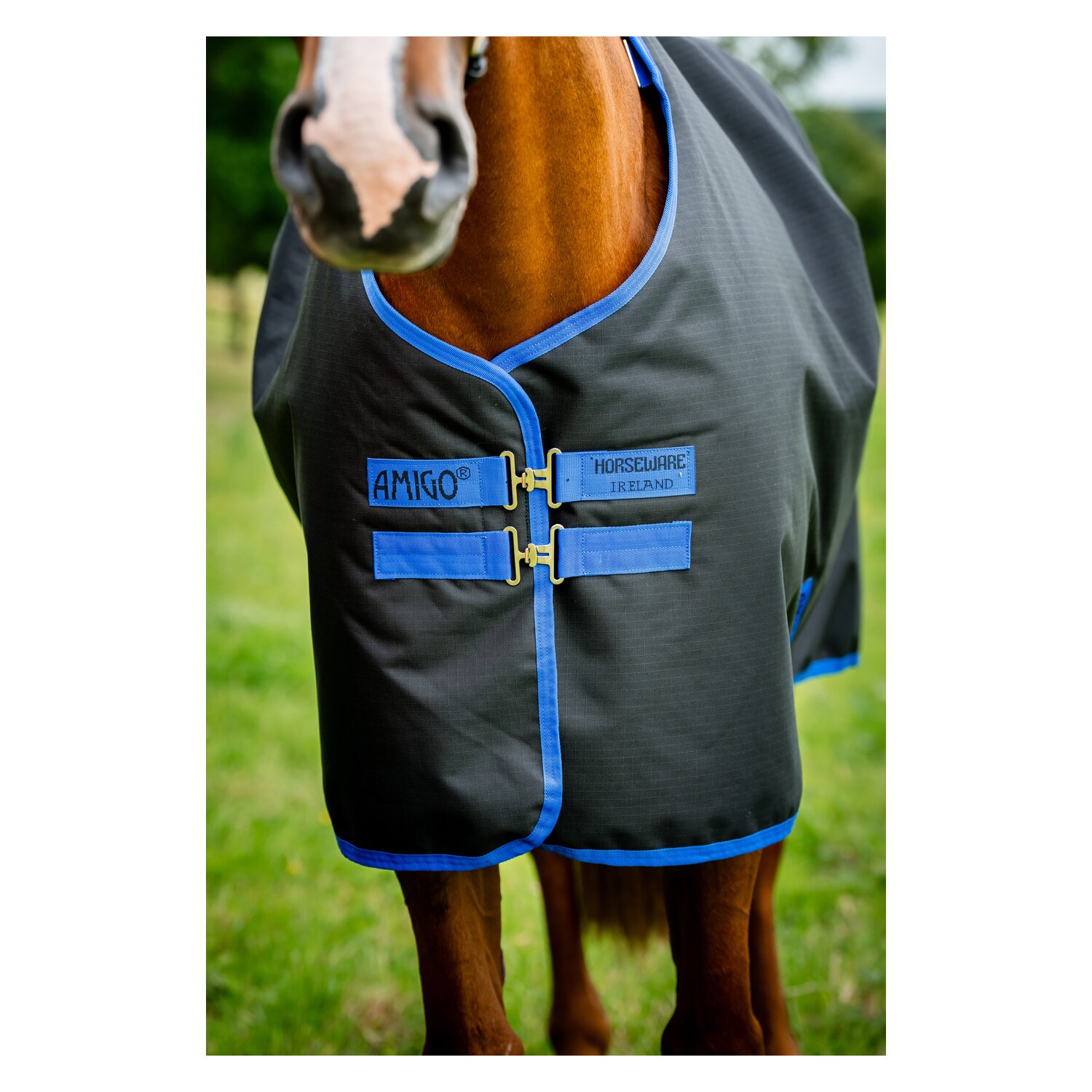 HORSEWARE Weidedecke AMIGO Ripstop 900 Fleece Lining, 50 g – Ansicht 3