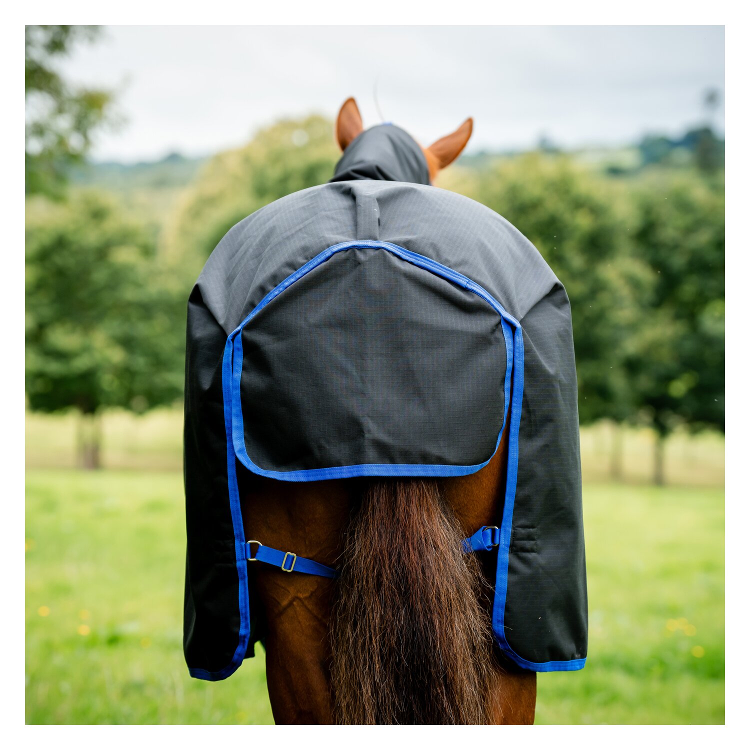 HORSEWARE Weidedecke AMIGO Ripstop 900 Fleece Lining, 50 g – Ansicht 5