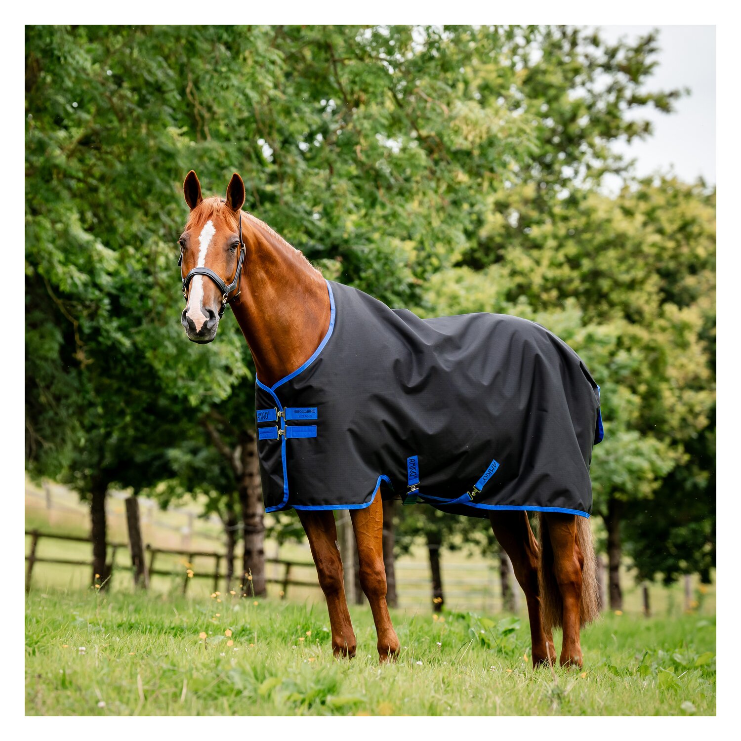HORSEWARE Weidedecke AMIGO Ripstop 900 Fleece Lining, 50 g – Ansicht 1