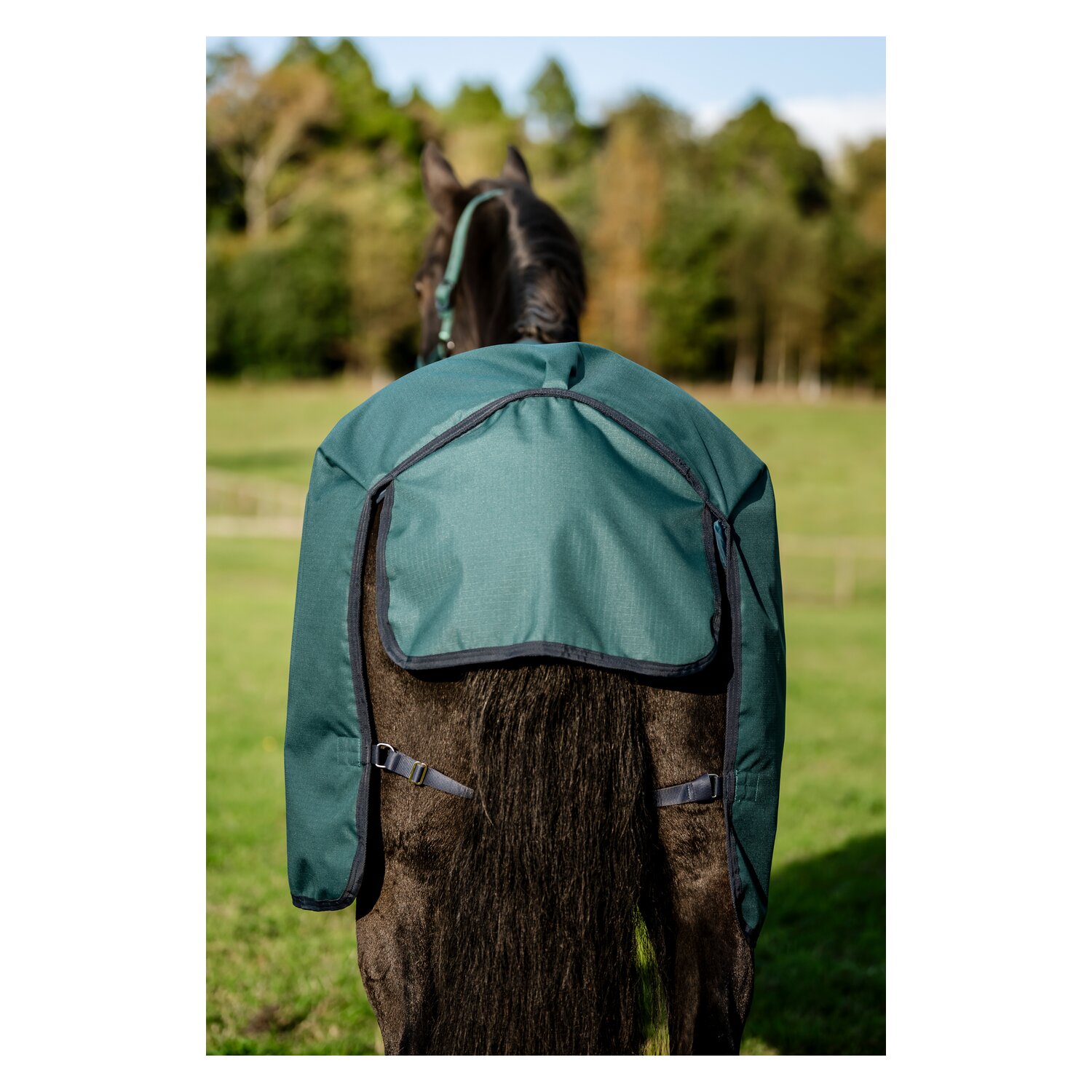 HORSEWARE Weidedecke AMIGO Ripstop 900 Fleece Lining, 50 g – Ansicht 9