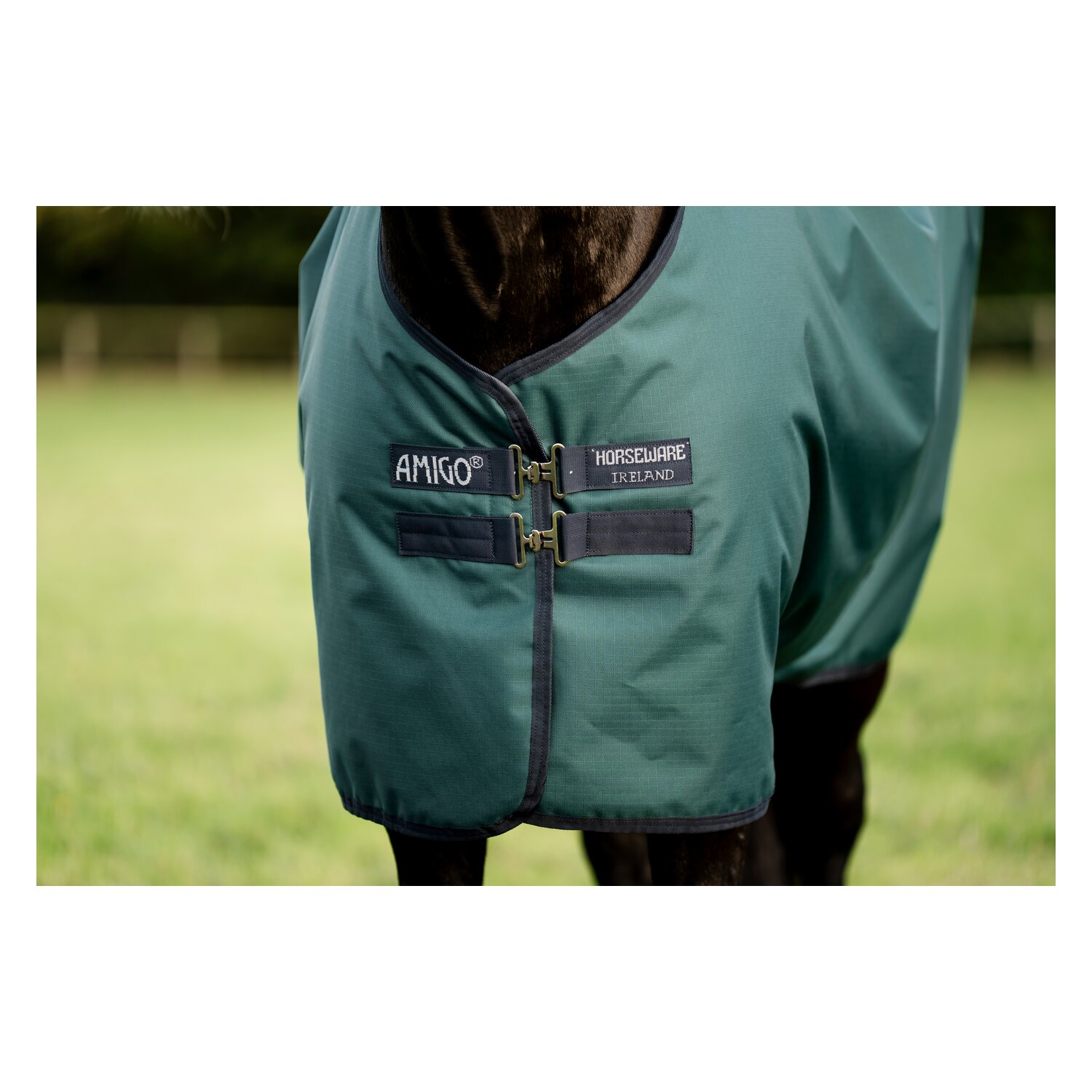 HORSEWARE Weidedecke AMIGO Ripstop 900 Fleece Lining, 50 g – Ansicht 2