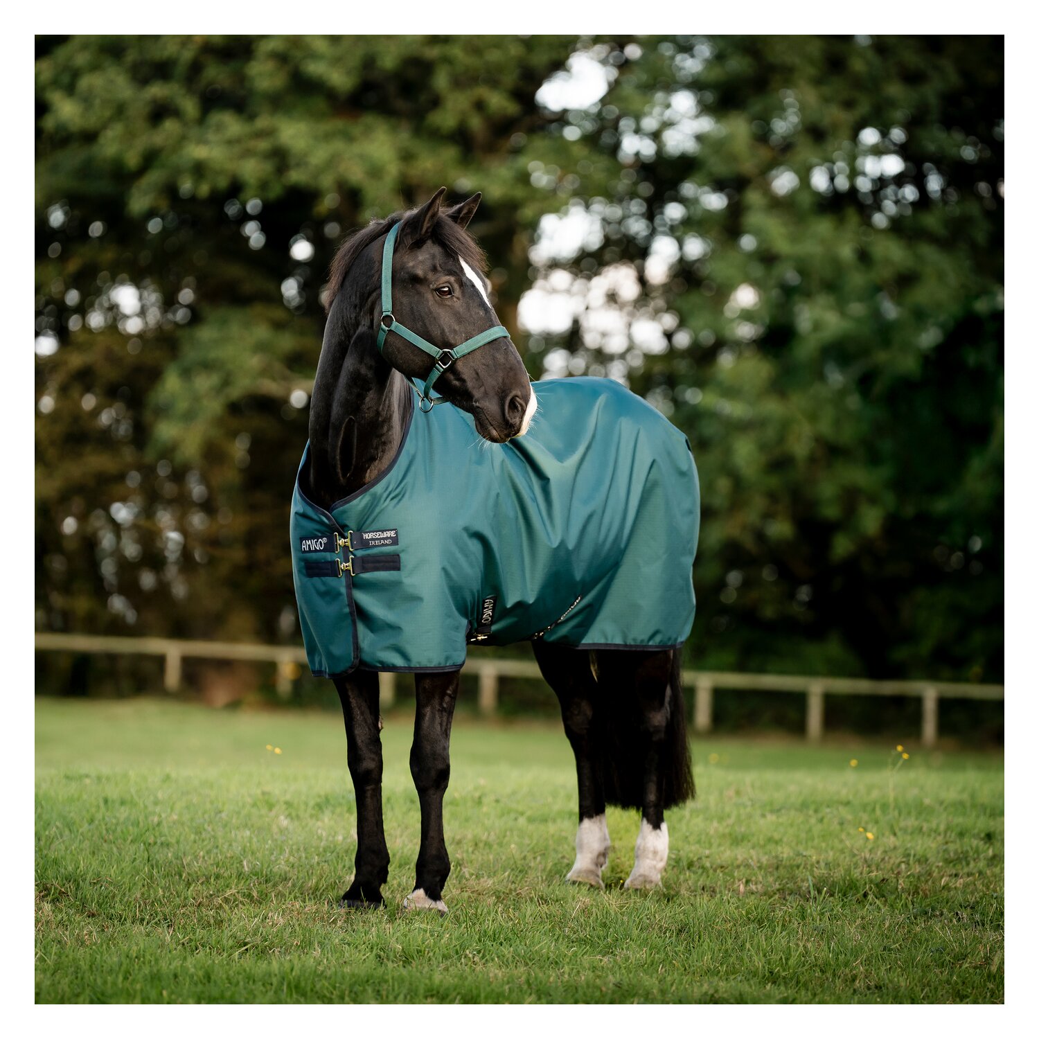 HORSEWARE Weidedecke AMIGO Ripstop 900 Fleece Lining, 50 g – Ansicht 4