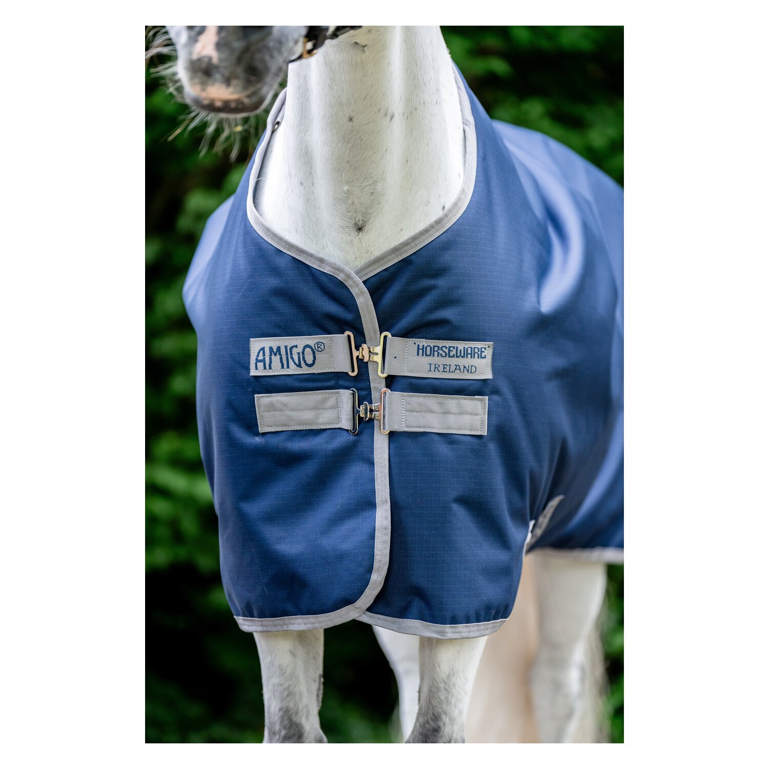 HORSEWARE Weidedecke AMIGO Ripstop 900 Fleece Lining, 50 g – Ansicht 2