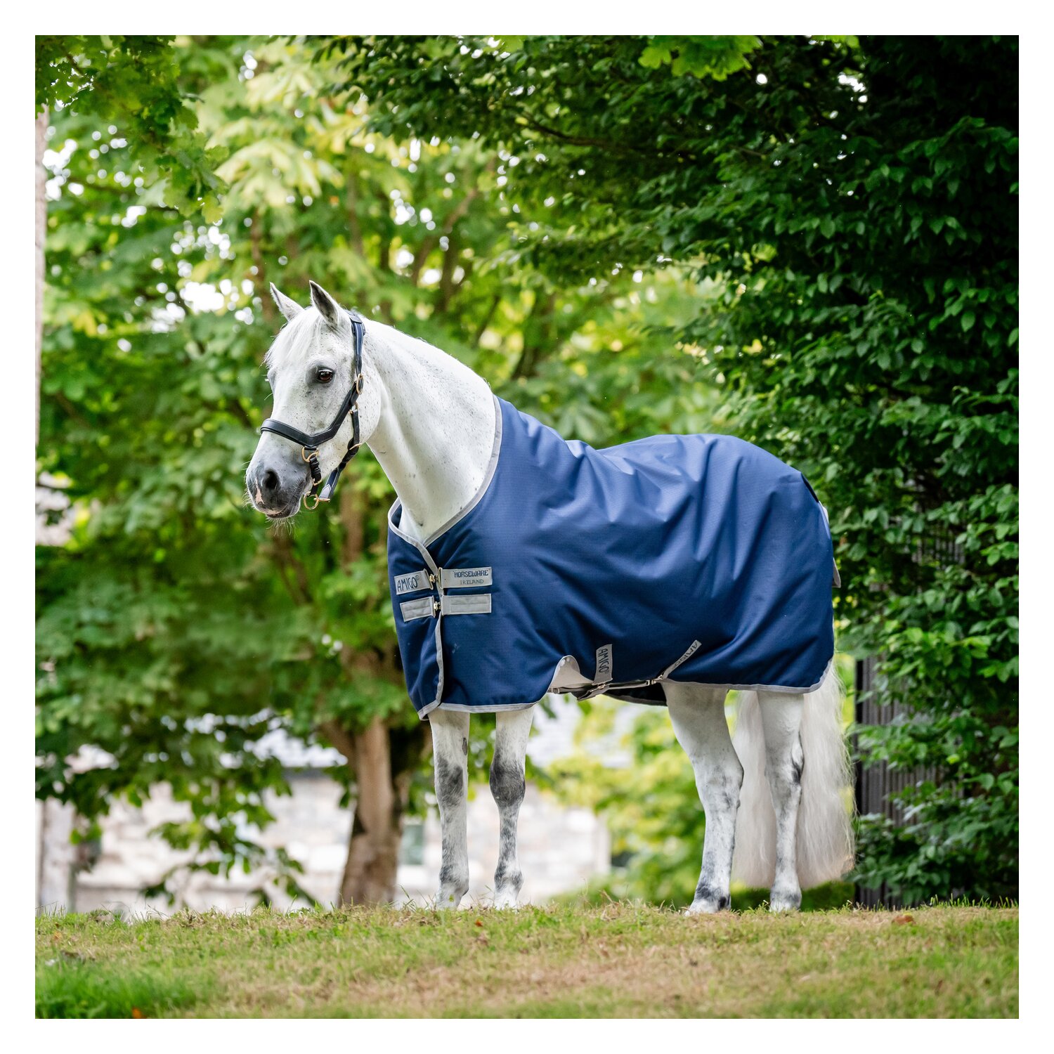 HORSEWARE Weidedecke AMIGO Ripstop 900 Fleece Lining, 50 g – Ansicht 1