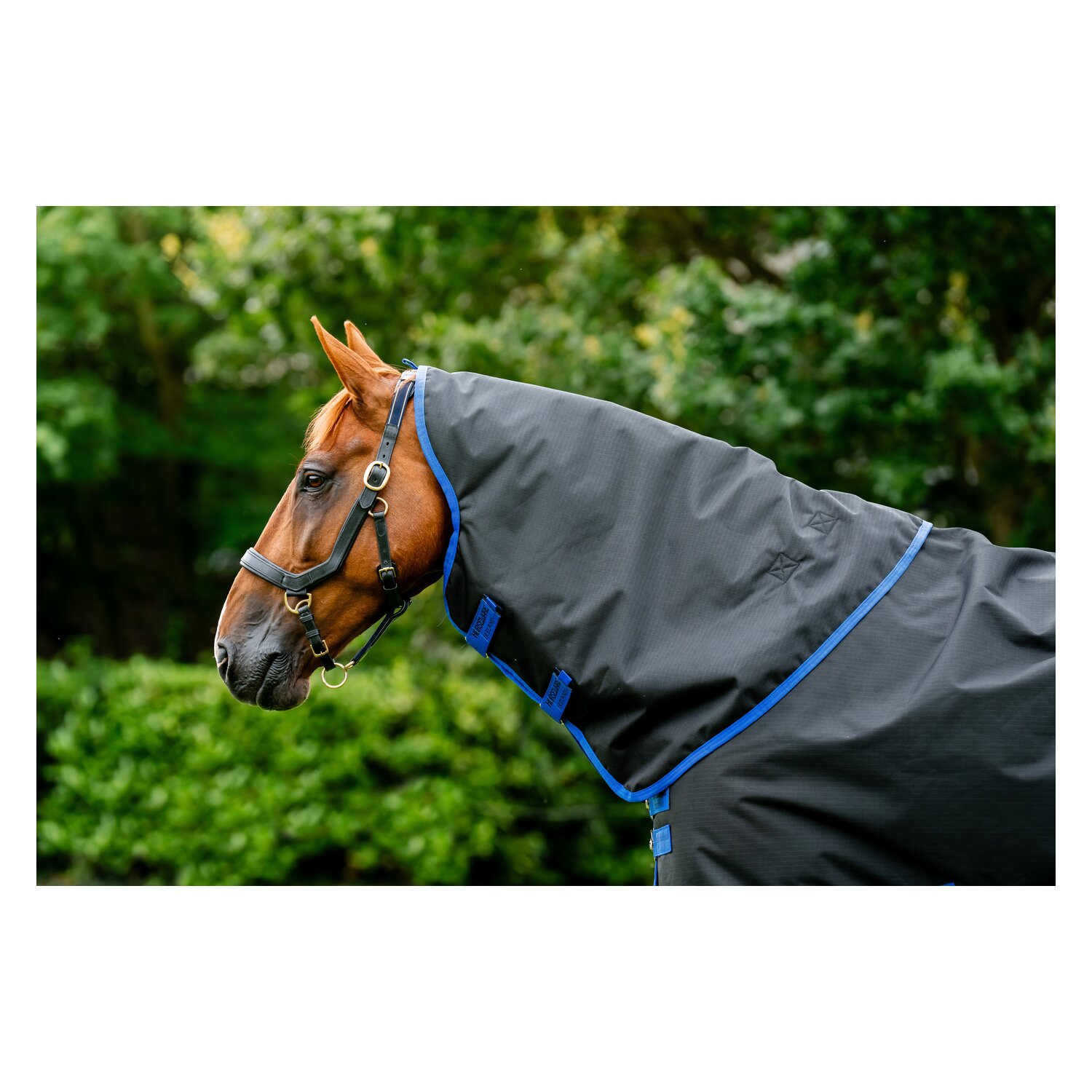 HORSEWARE Halsteil AMIGO Ripstop 900 – Ansicht 1