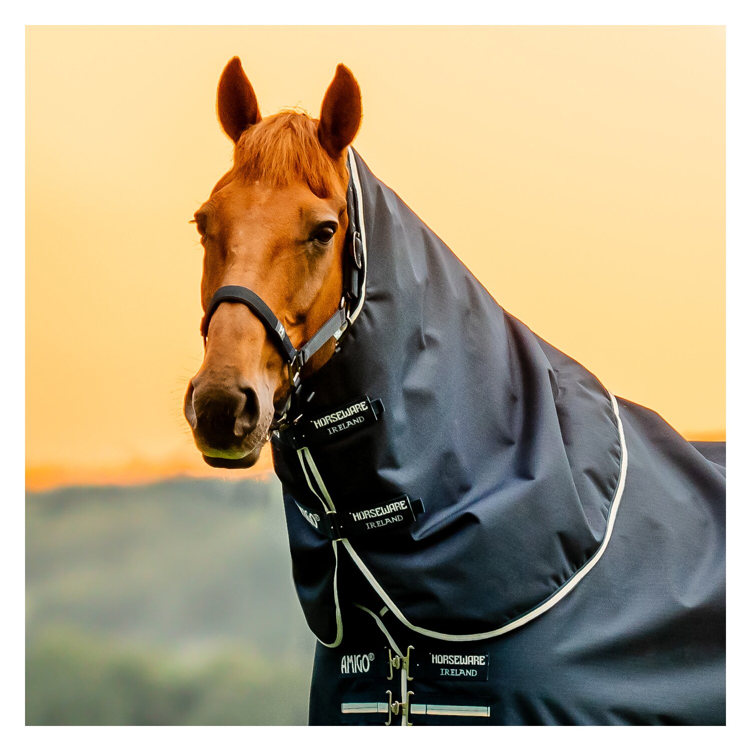 HORSEWARE Halsteil AMIGO Ripstop 900 – Ansicht 1