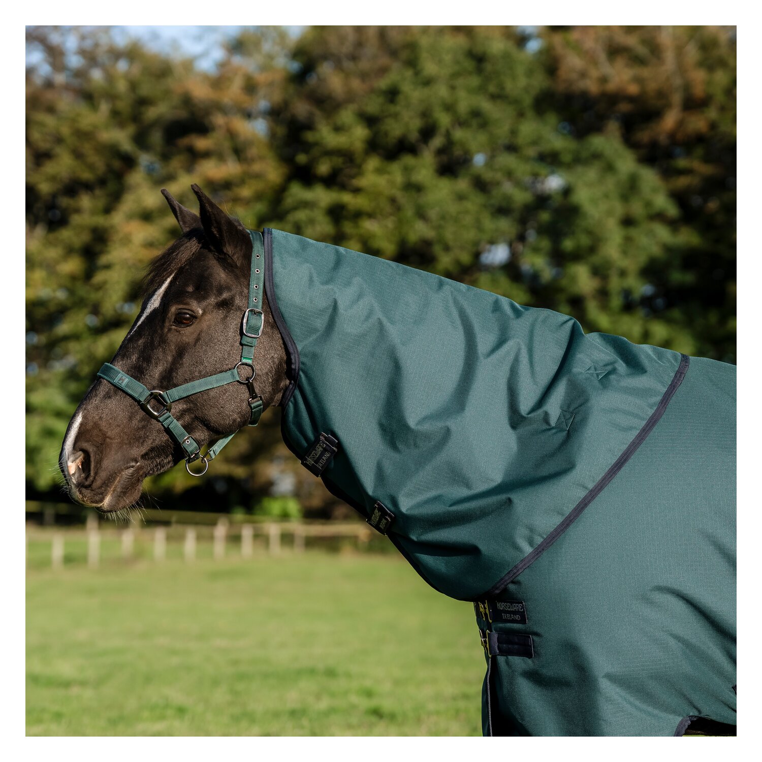 HORSEWARE Halsteil AMIGO Ripstop 900 – Ansicht 1