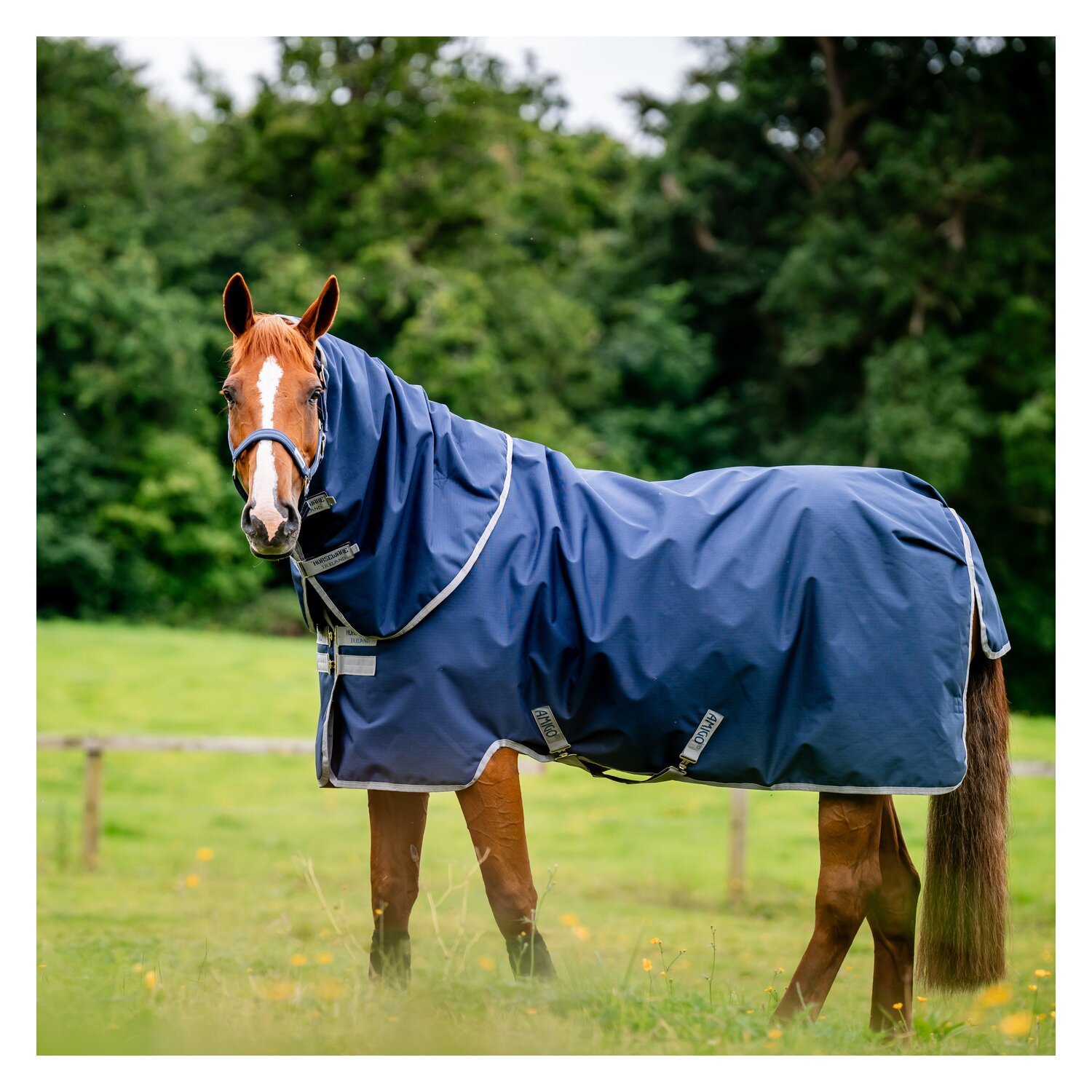 HORSEWARE Weidedecke AMIGO Ripstop 900 Plus 200 g – Ansicht 2