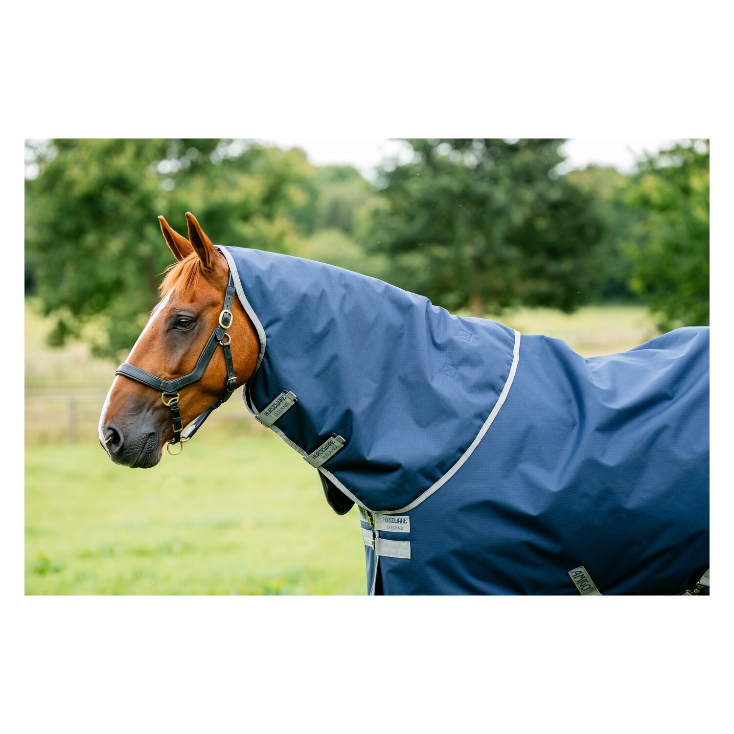 HORSEWARE Weidedecke AMIGO Ripstop 900 Plus 200 g – Ansicht 7