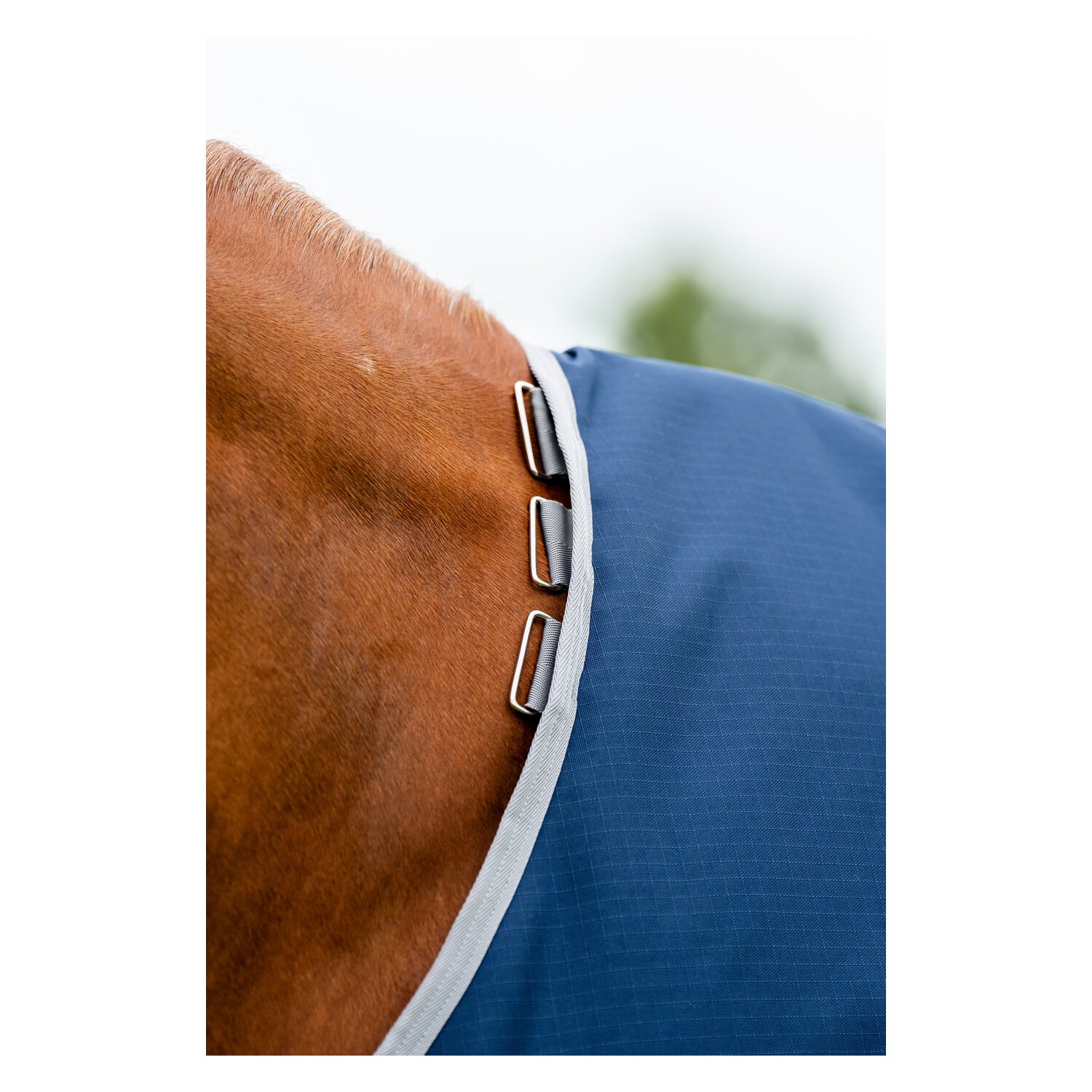 HORSEWARE Weidedecke AMIGO Ripstop 900 D Turnout, 200 g – Ansicht 7