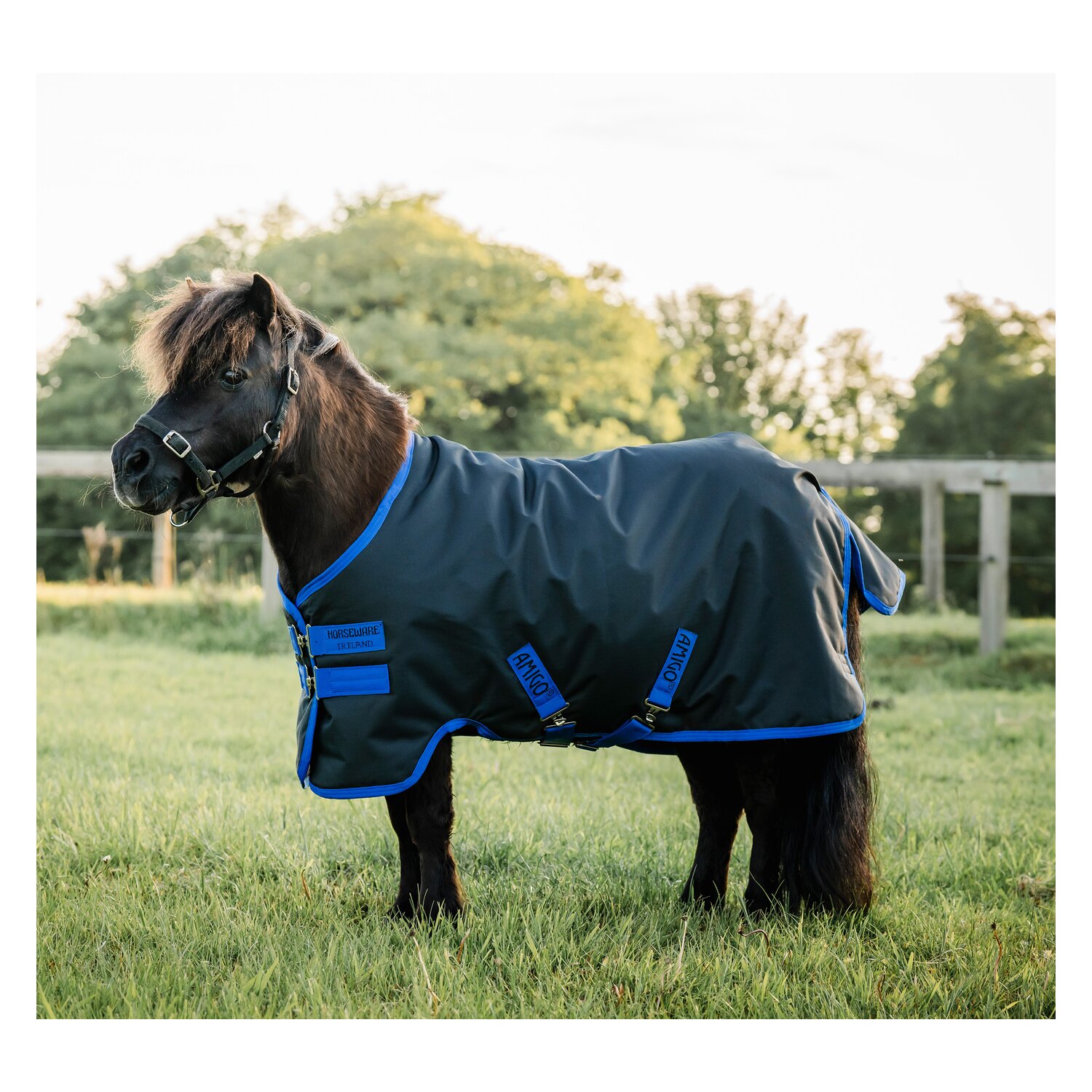 HORSEWARE Pony-Outdoordecke AMIGO Ripstop 900D, 50 g – Ansicht 1