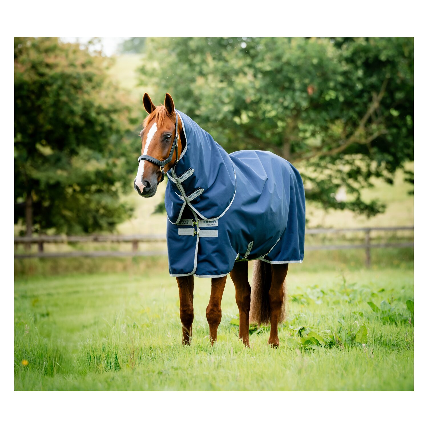 HORSEWARE Weidedecke AMIGO Ripstop 900D Plus, 100g &ndash; Ansicht 2