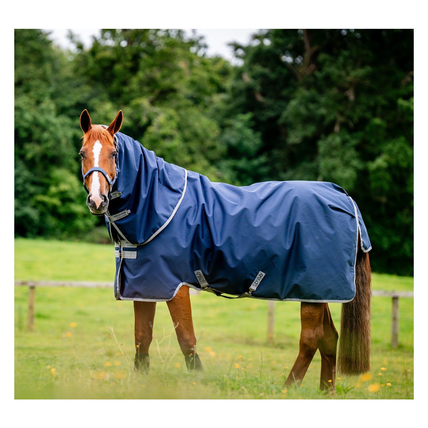 HORSEWARE Weidedecke AMIGO Ripstop 900D Plus, 100g &ndash; Ansicht 3