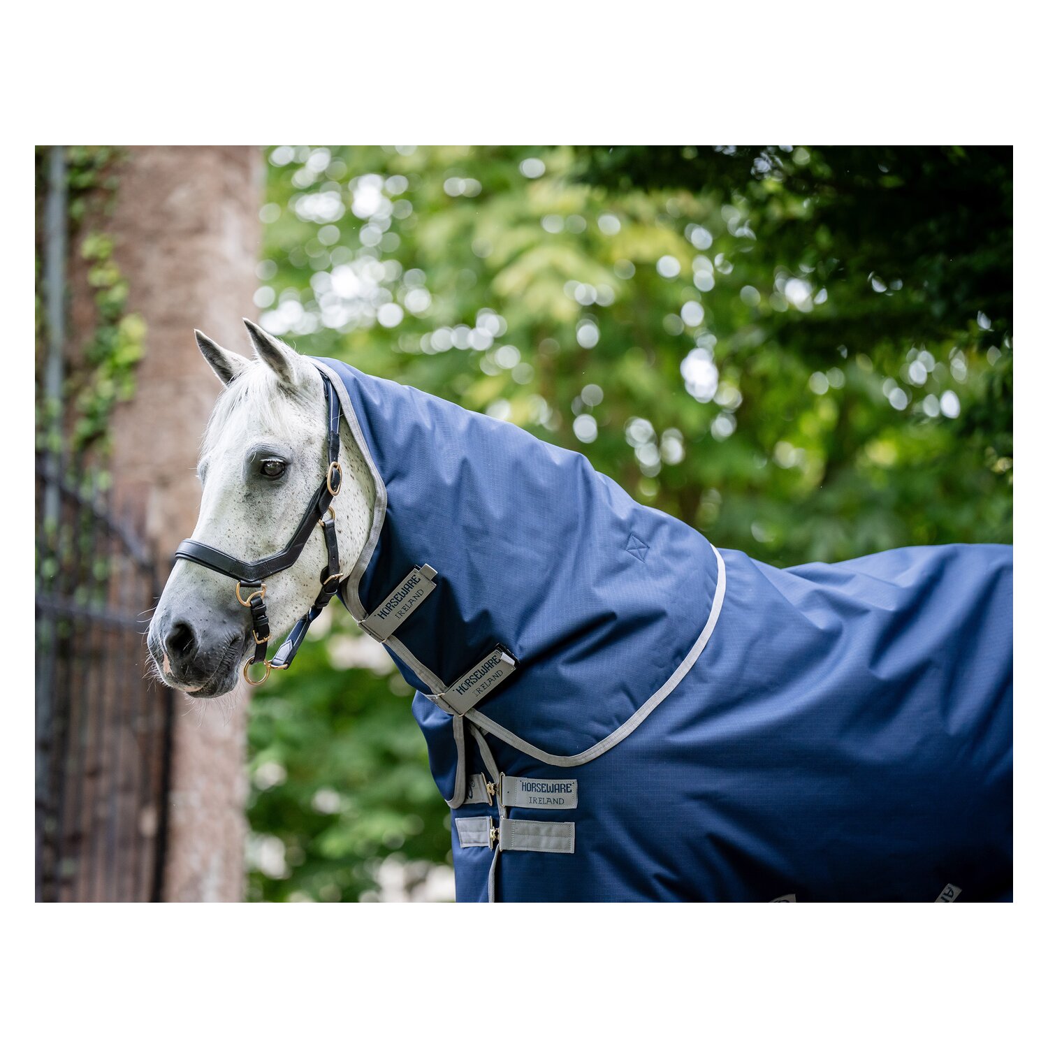 HORSEWARE Weidedecke AMIGO Ripstop 900D Plus, 100g &ndash; Ansicht 4