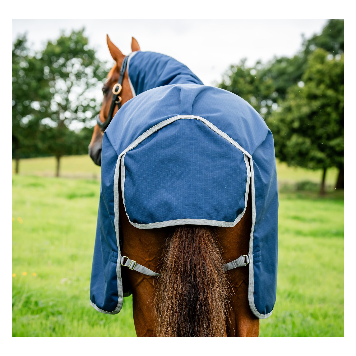 HORSEWARE Weidedecke AMIGO Ripstop 900D Plus, 100g &ndash; Ansicht 5