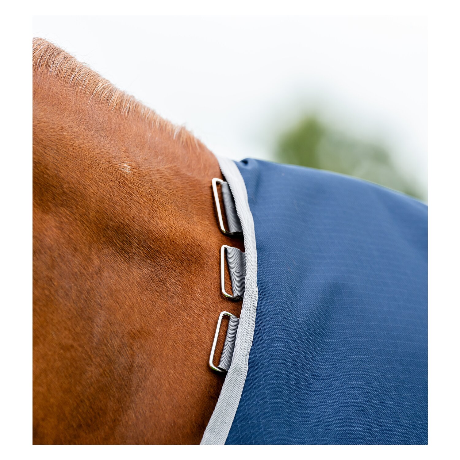 HORSEWARE Weidedecke AMIGO Ripstop 900D Plus, 100g &ndash; Ansicht 7