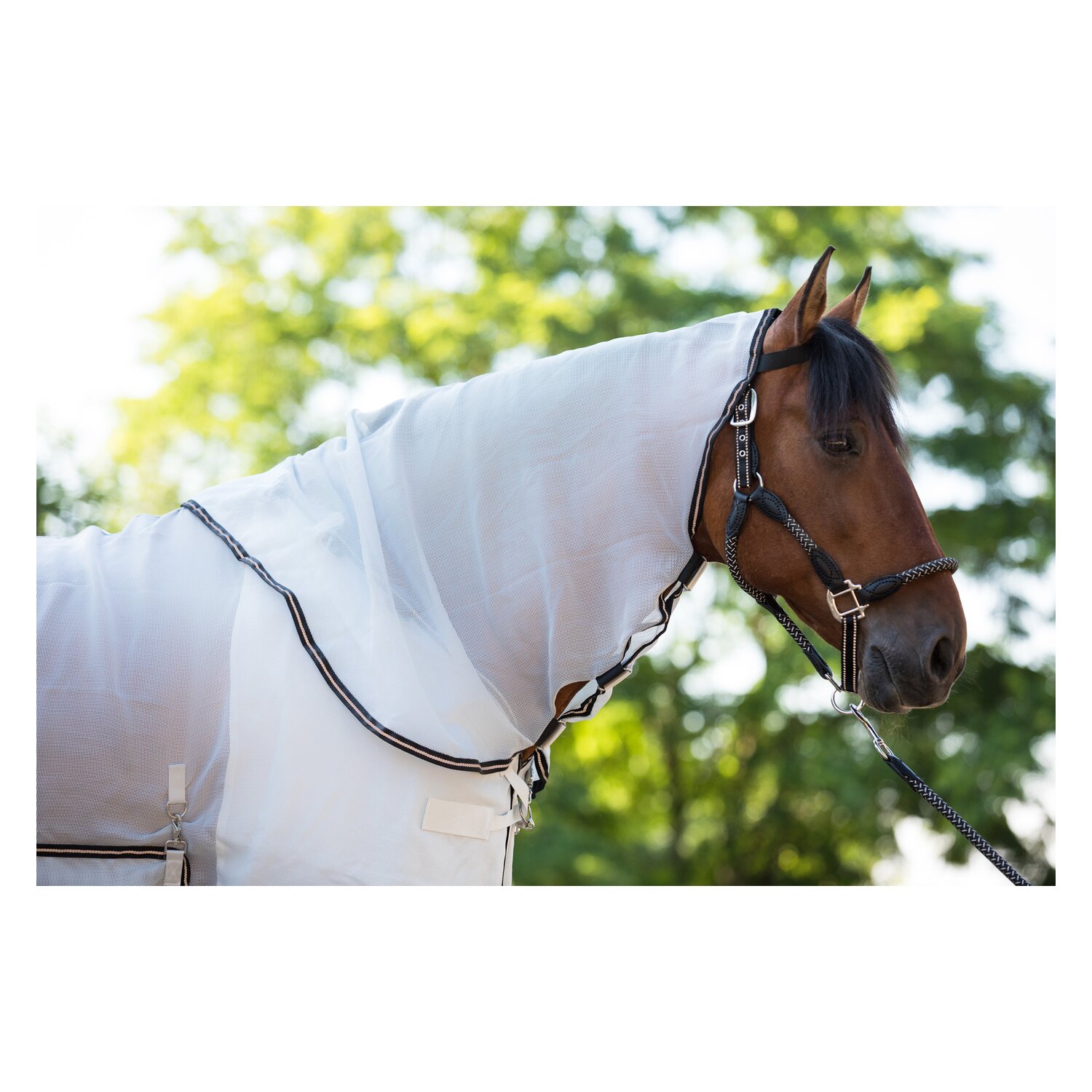 EQUINE-MICROTEC Outdoor-Fliegendecke SHIELD – Ansicht 2