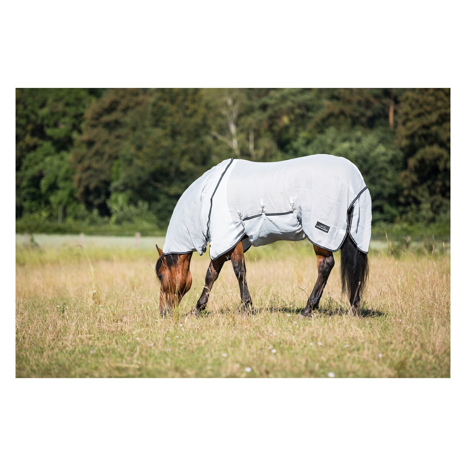 EQUINE-MICROTEC Outdoor-Fliegendecke SHIELD – Ansicht 3
