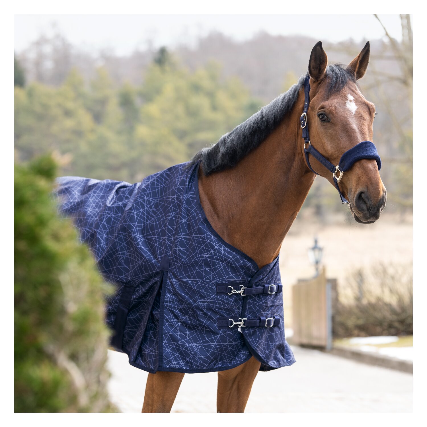 Horse-friends Regendecke Hamburg Lite Printed – Ansicht 2