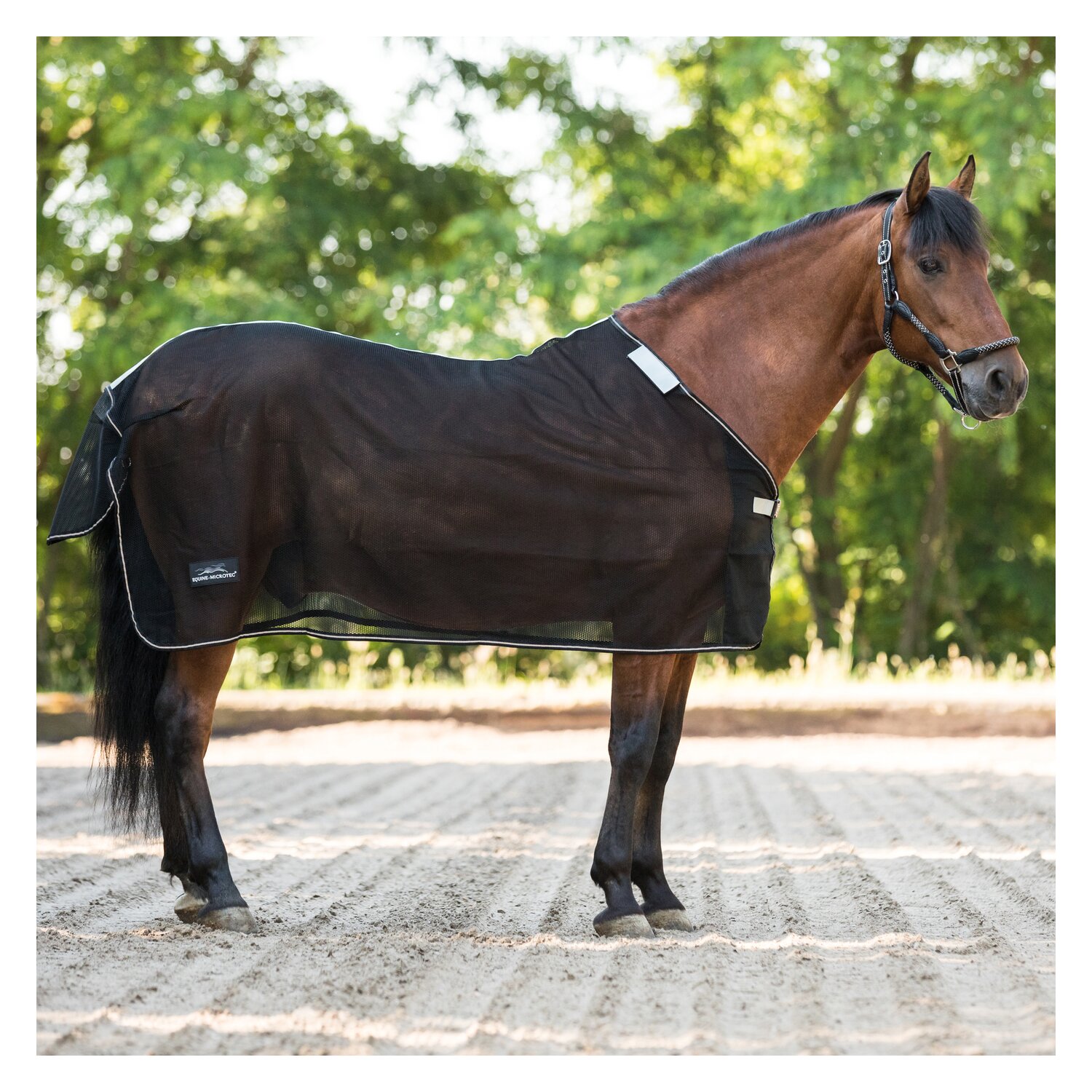 EQUINE MICROTEC Fliegendecke Micro Mesh Protect – Ansicht 1