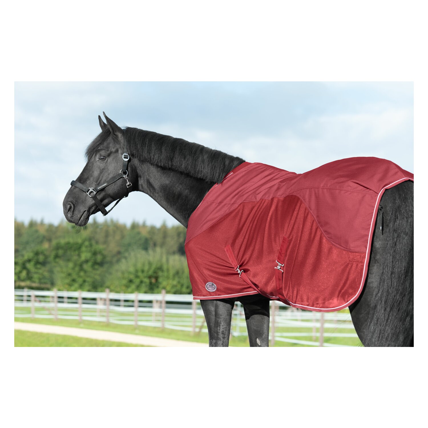 IRISh INNOVATION Regen- und Fliegendecke – Ansicht 2