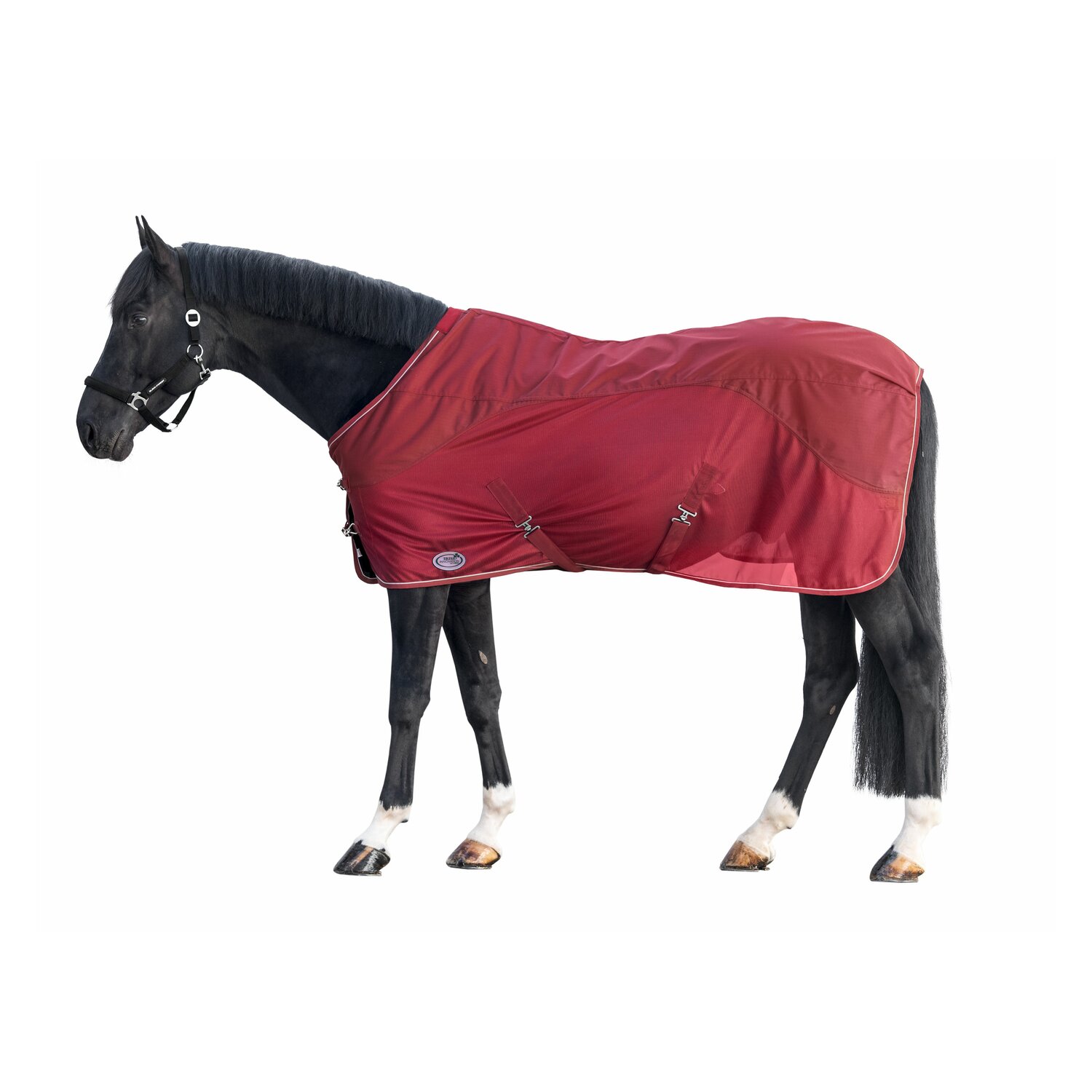 IRISh INNOVATION Regen- und Fliegendecke – Ansicht 1