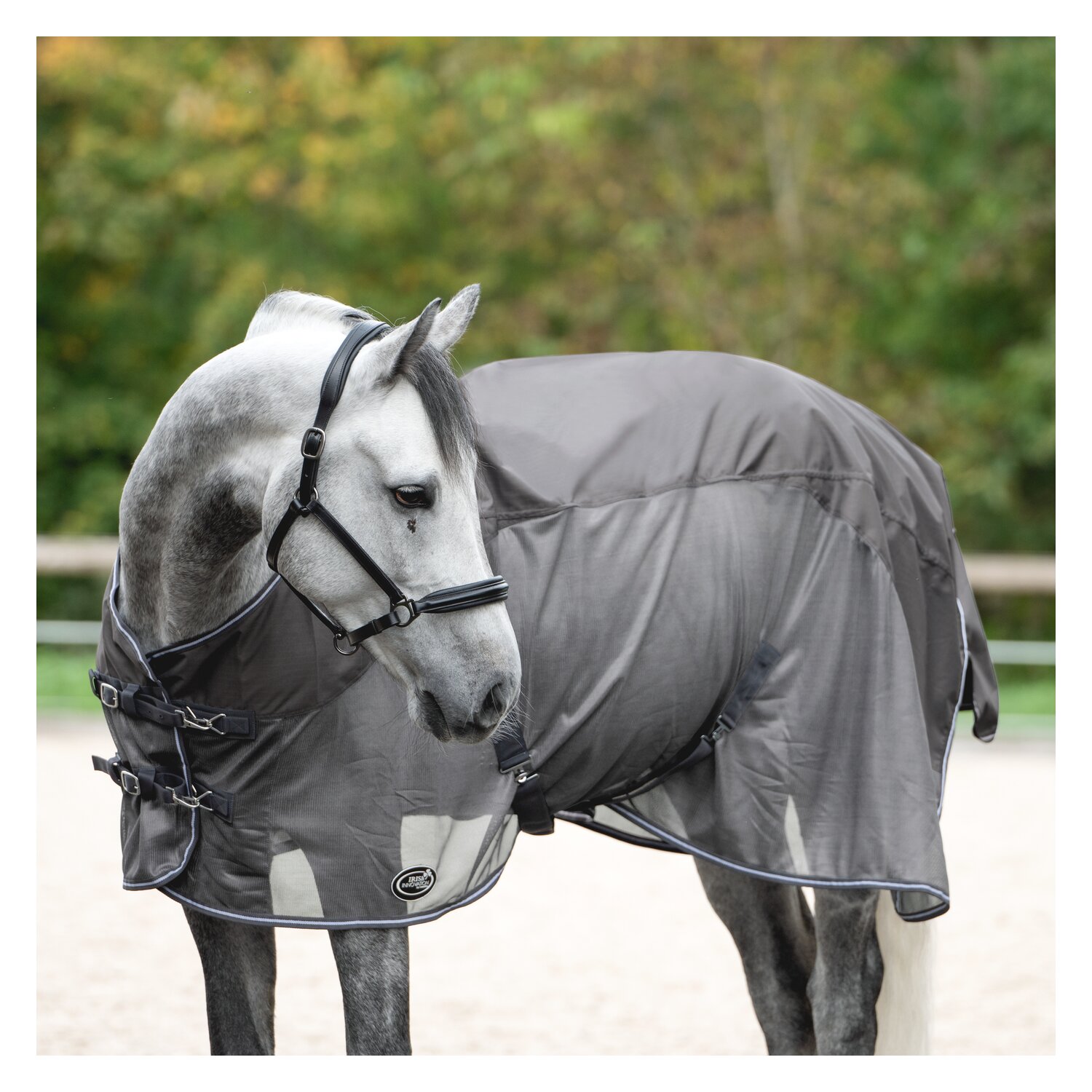 IRISh INNOVATION Regen-Fliegendecke – Ansicht 1