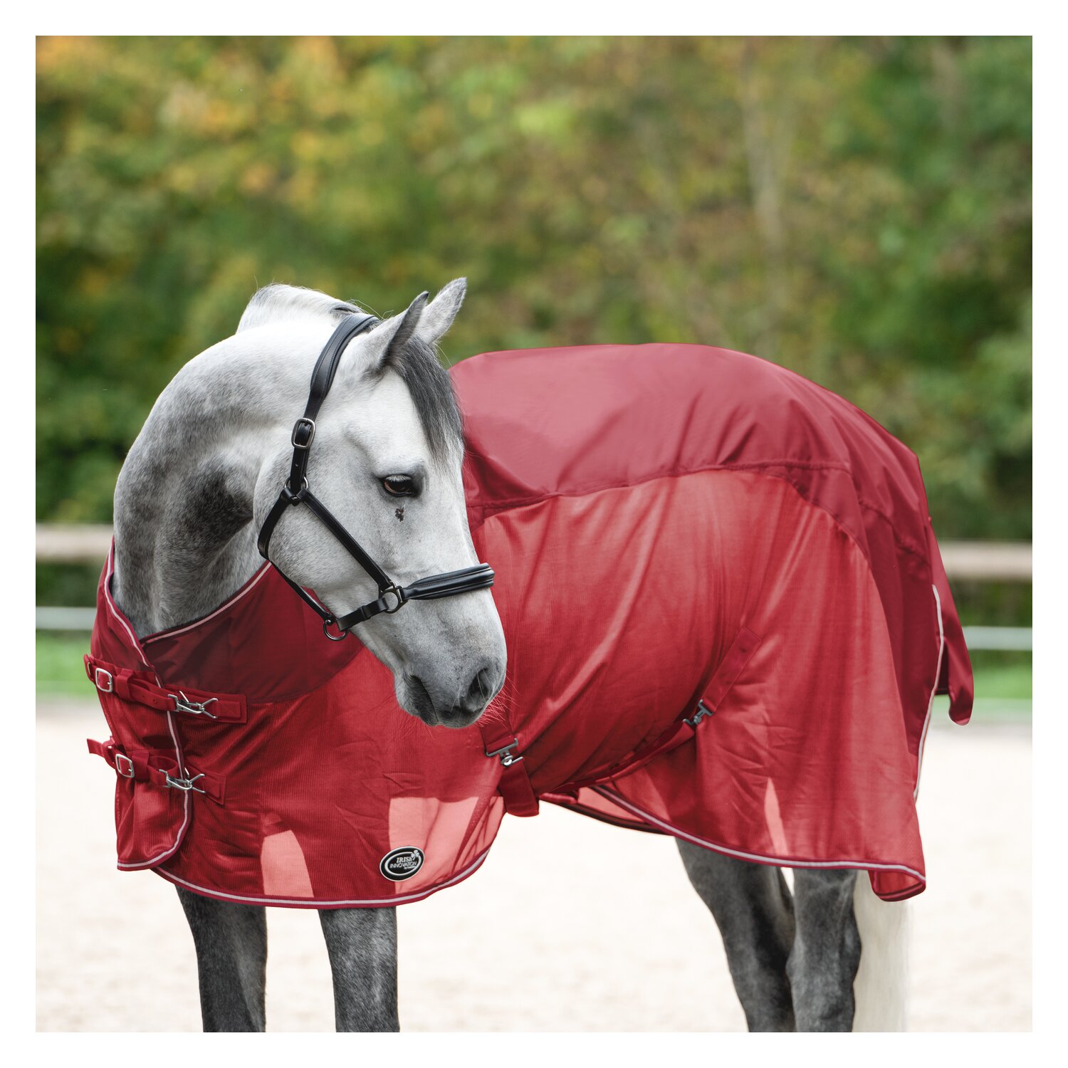 IRISh INNOVATION Regen-Fliegendecke – Ansicht 1