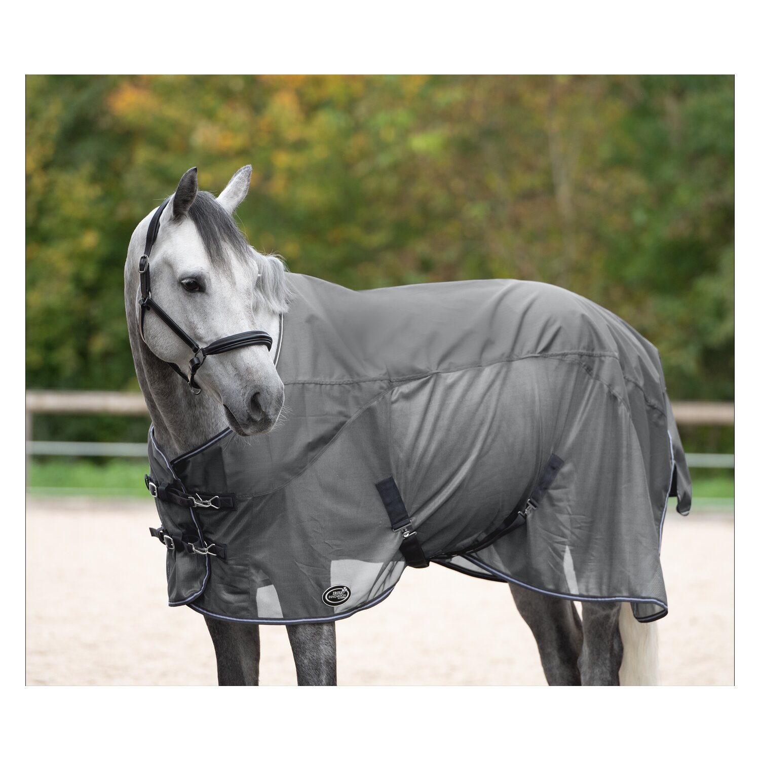 IRISh INNOVATION Regen-Fliegendecke Tameside grau 125 cm