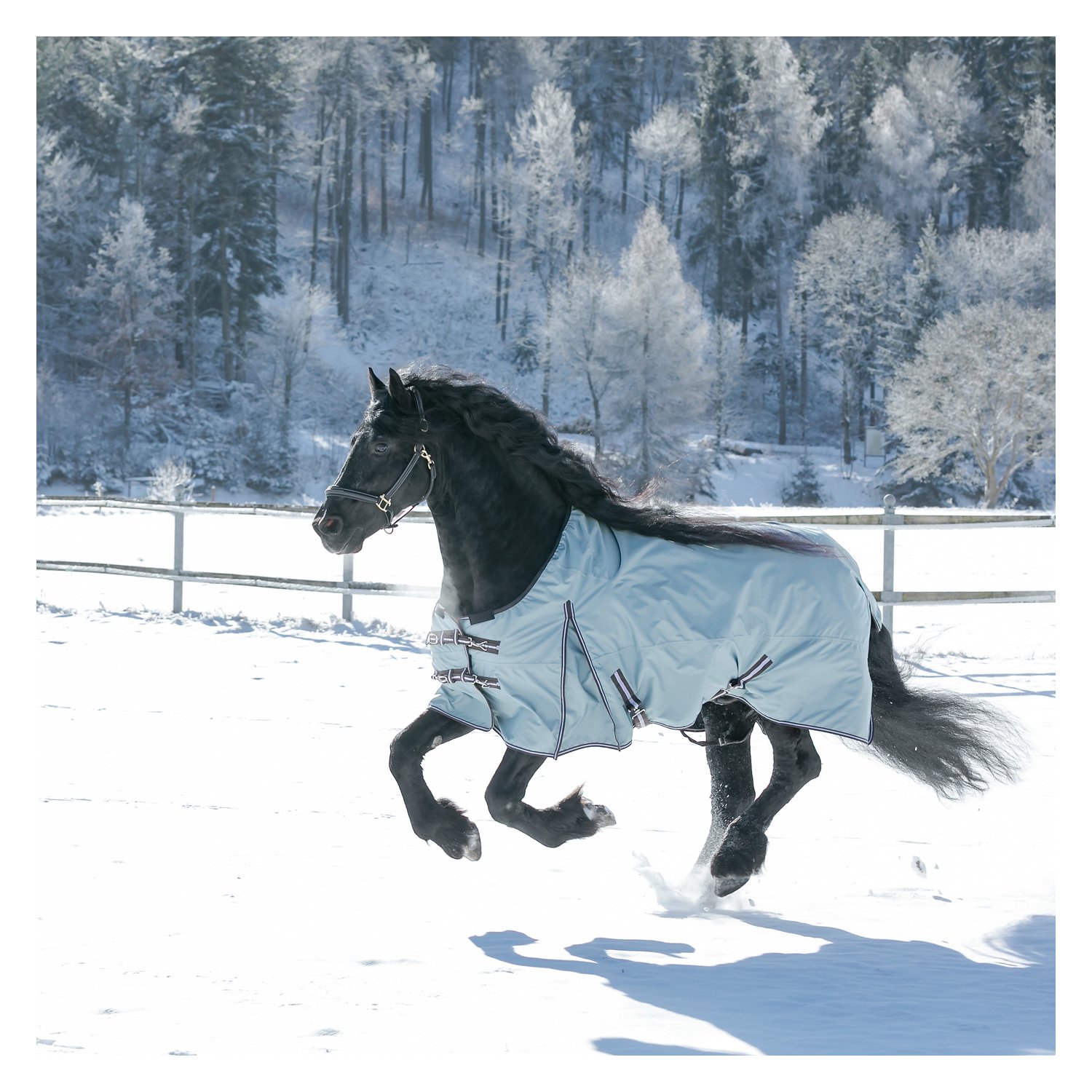 Horse-friends Outdoordecke XL 200 – Ansicht 2