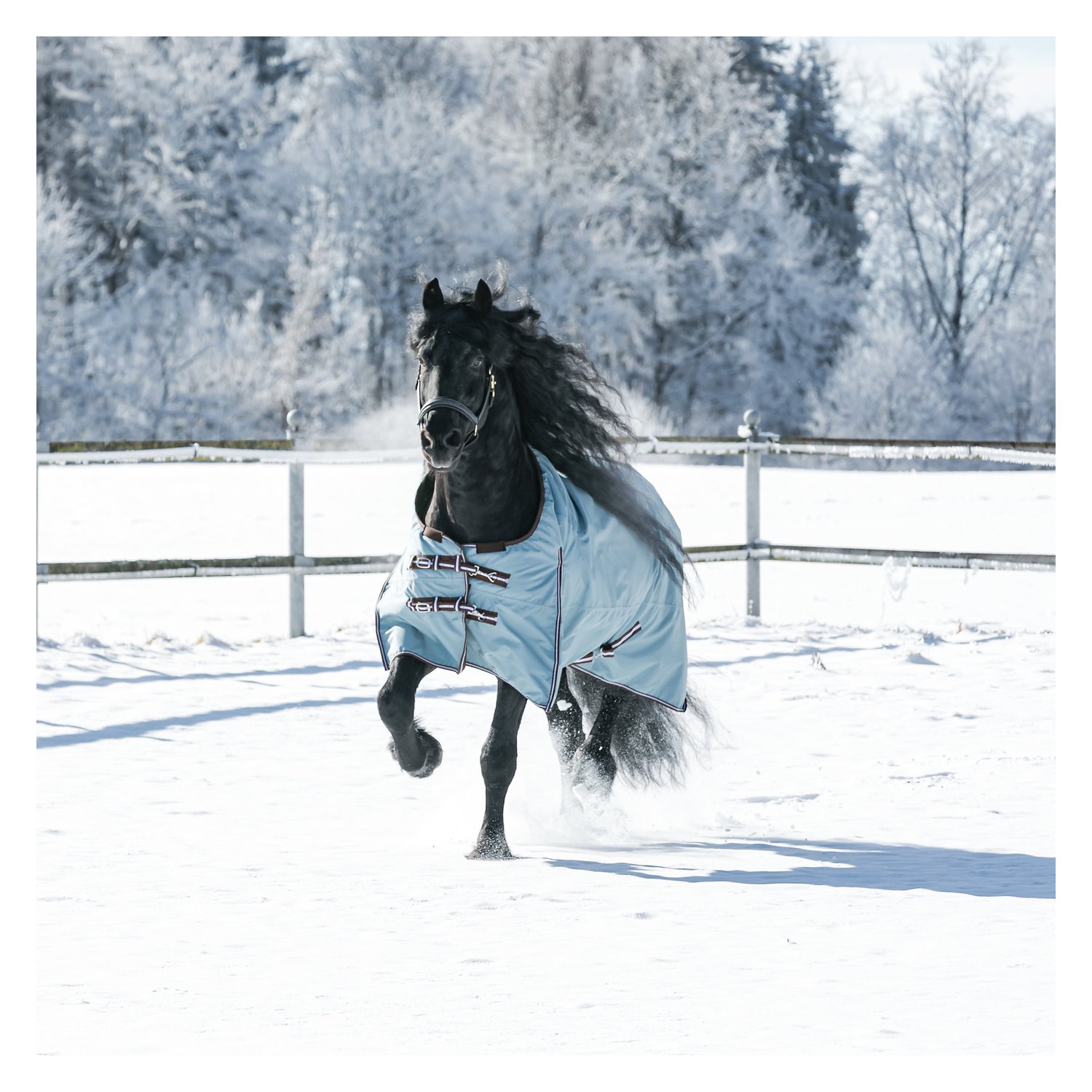 Horse-friends Outdoordecke XL 200 – Ansicht 3
