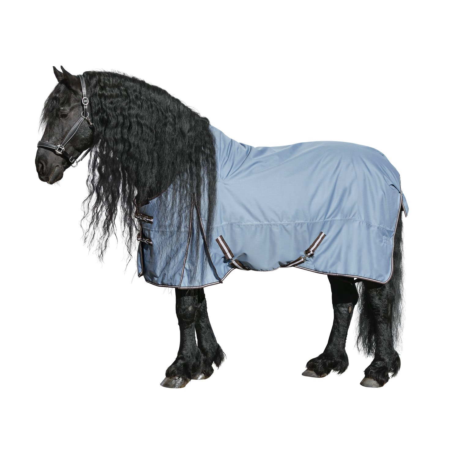 Horse-friends Outdoordecke XL 200 – Ansicht 1