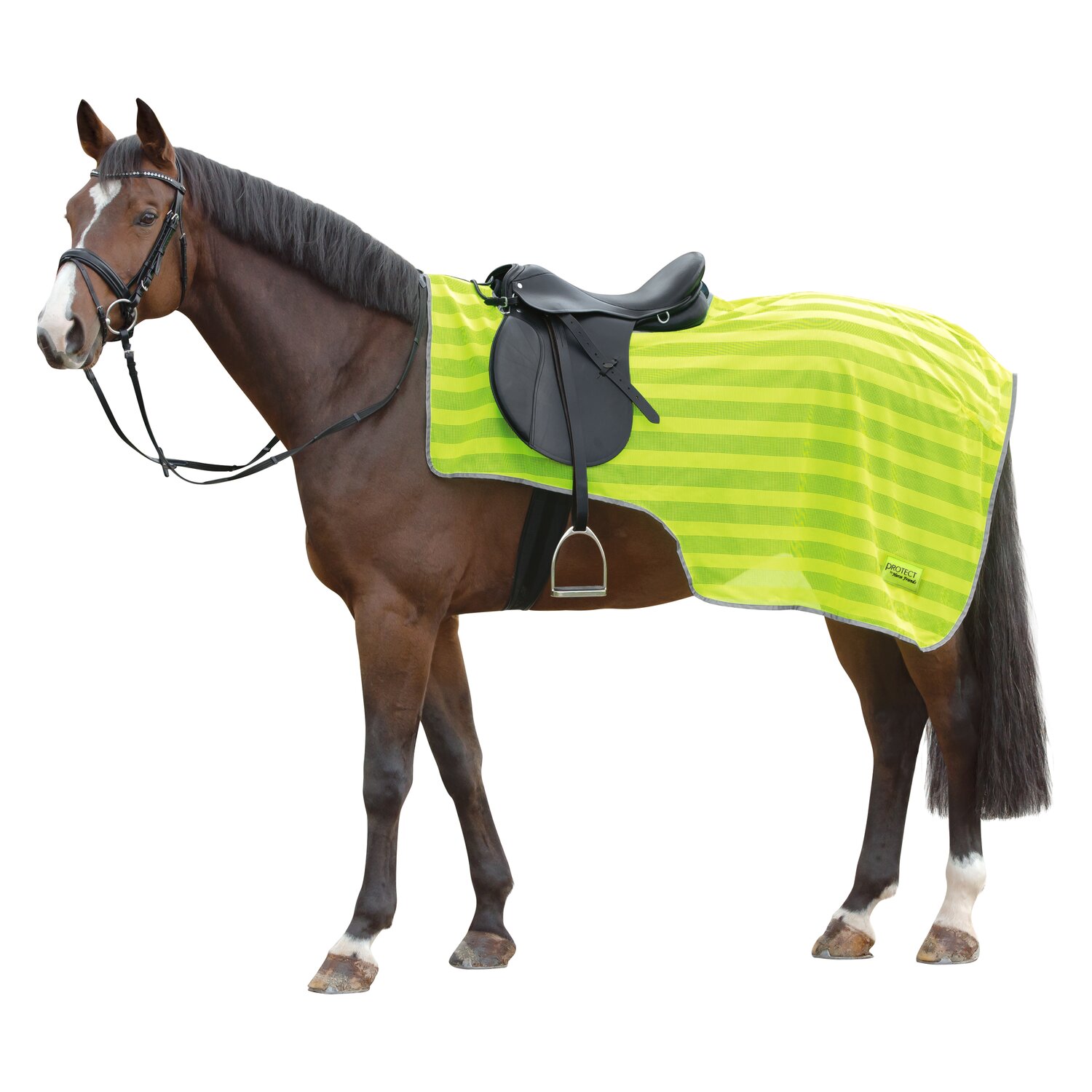 PROTECT by Horse-Friends Ausreitdecke &ndash; Ansicht 1