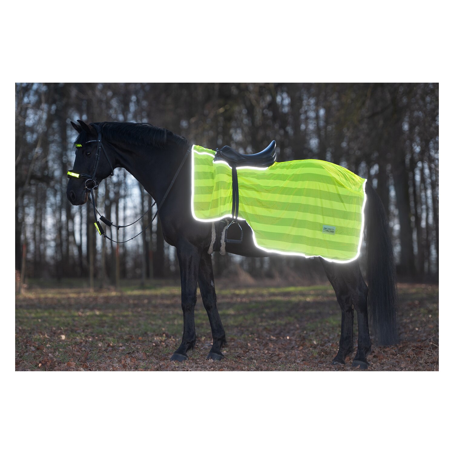 PROTECT by Horse-Friends Ausreitdecke &ndash; Ansicht 2
