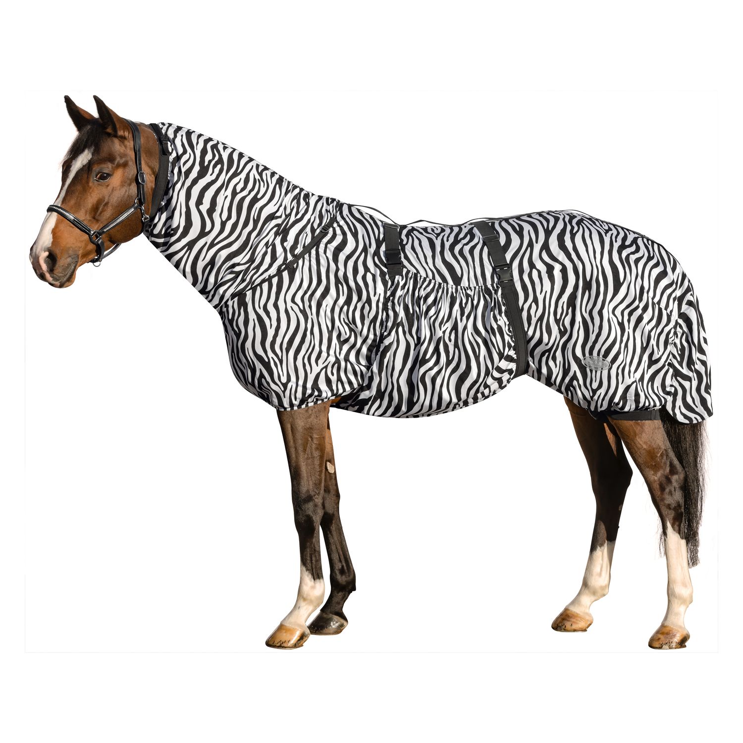 Horse-friends Ekzemerdecke – Ansicht 1