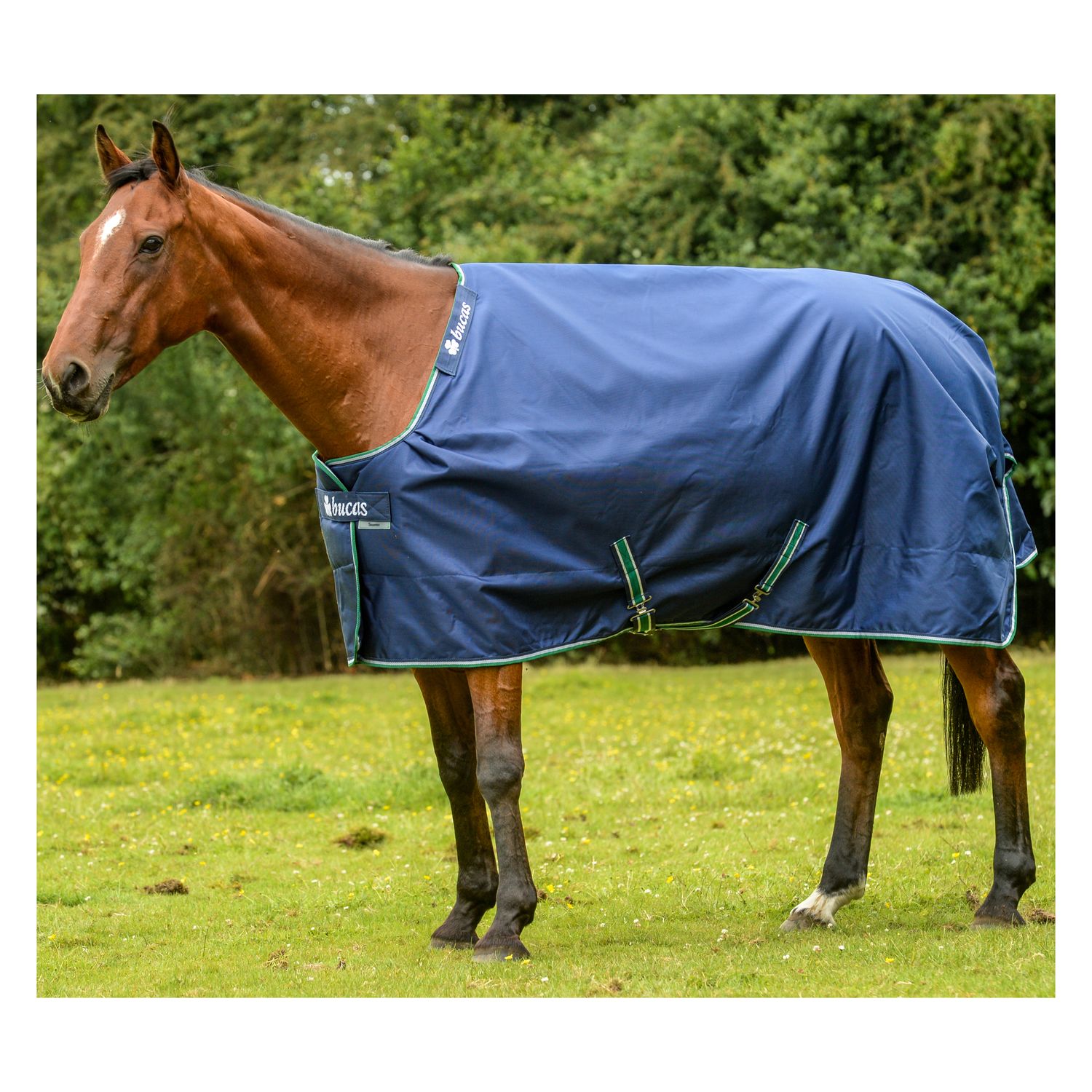 bucas Outdoordecke Smartex Medium Turnout – Ansicht 1